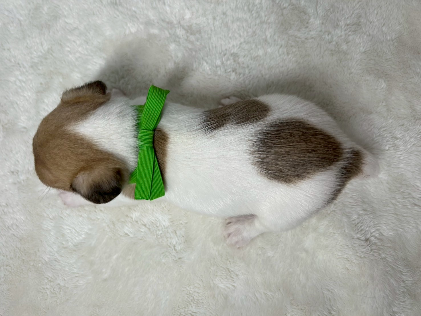 赤ちゃん写真2-3