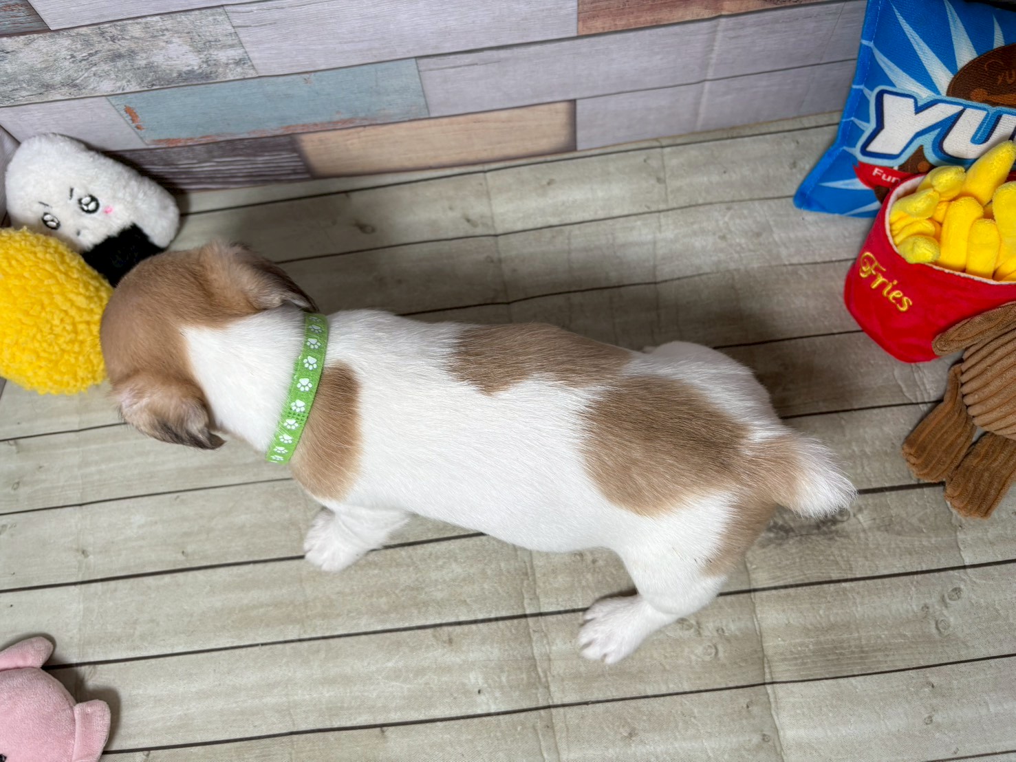 赤ちゃん写真3-3