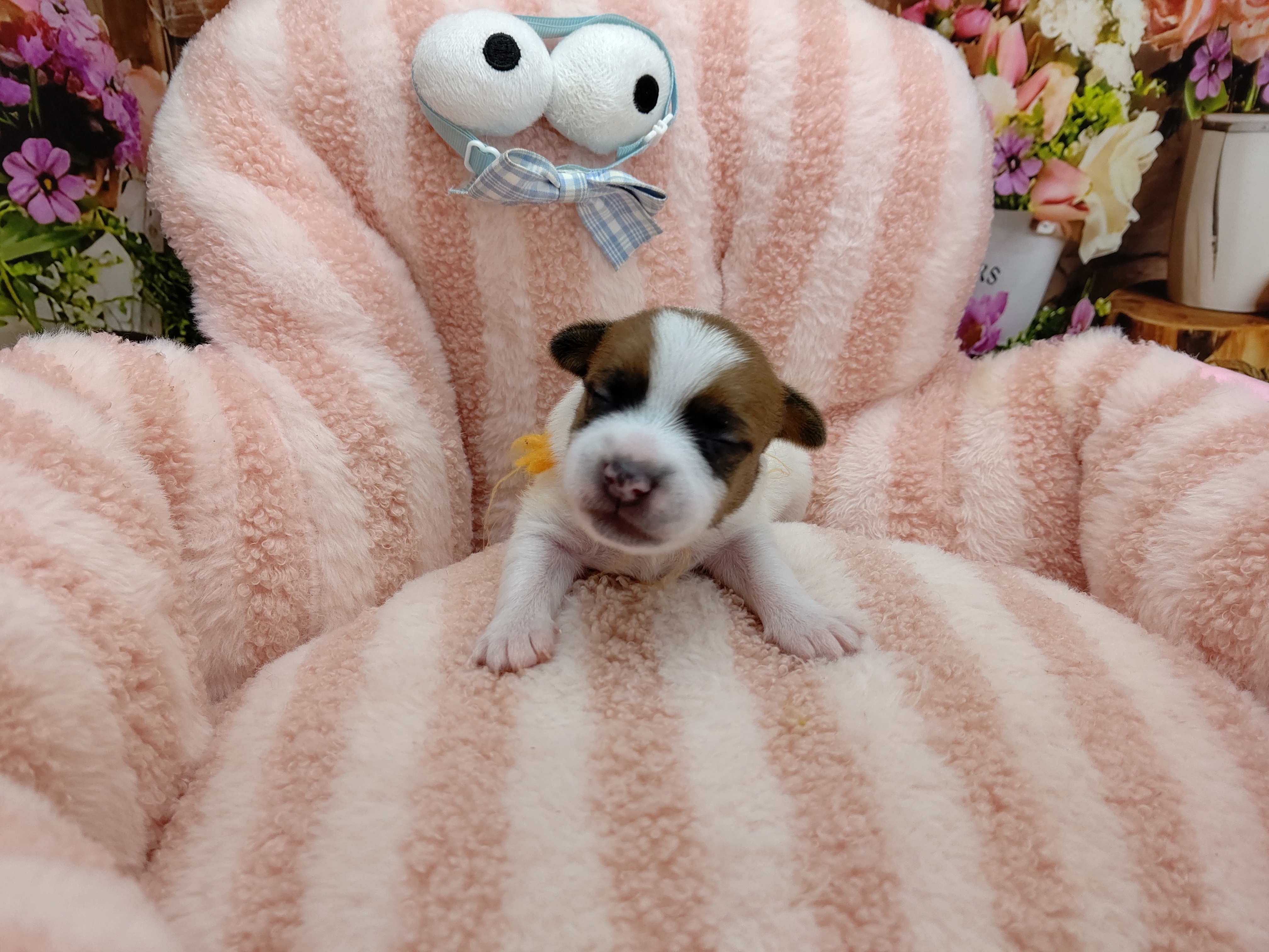 赤ちゃん写真1-1