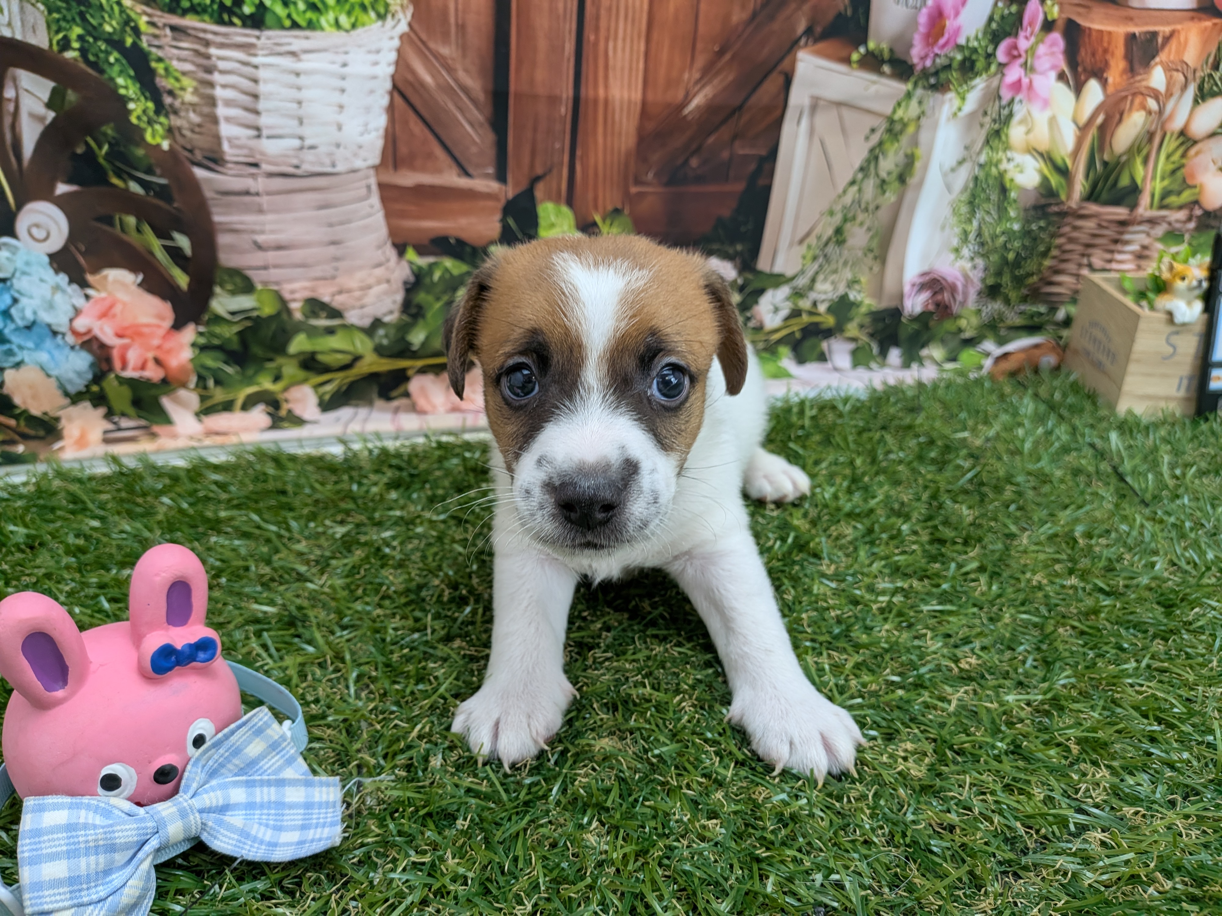 赤ちゃん写真2-1