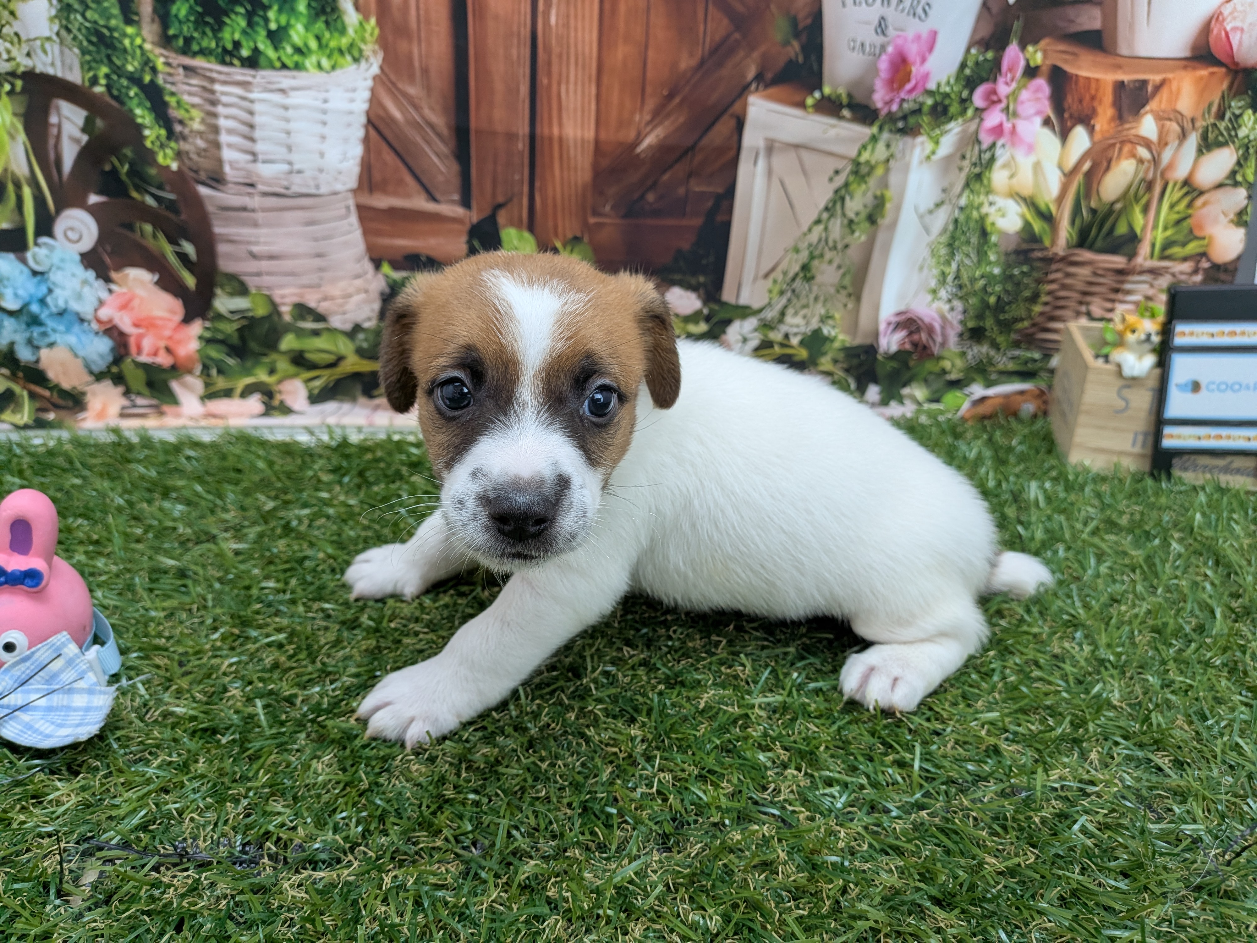 赤ちゃん写真2-2