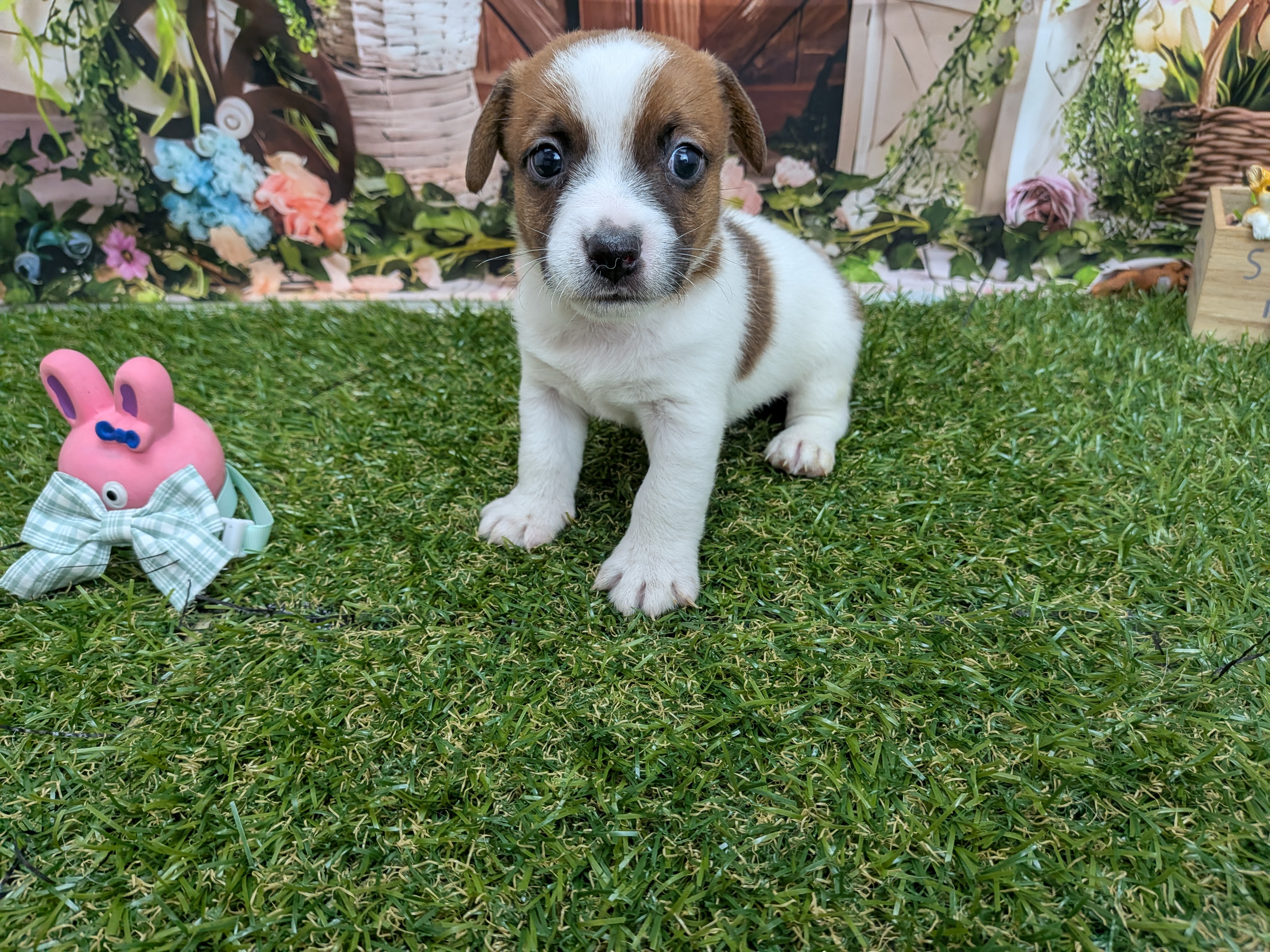 赤ちゃん写真2-1