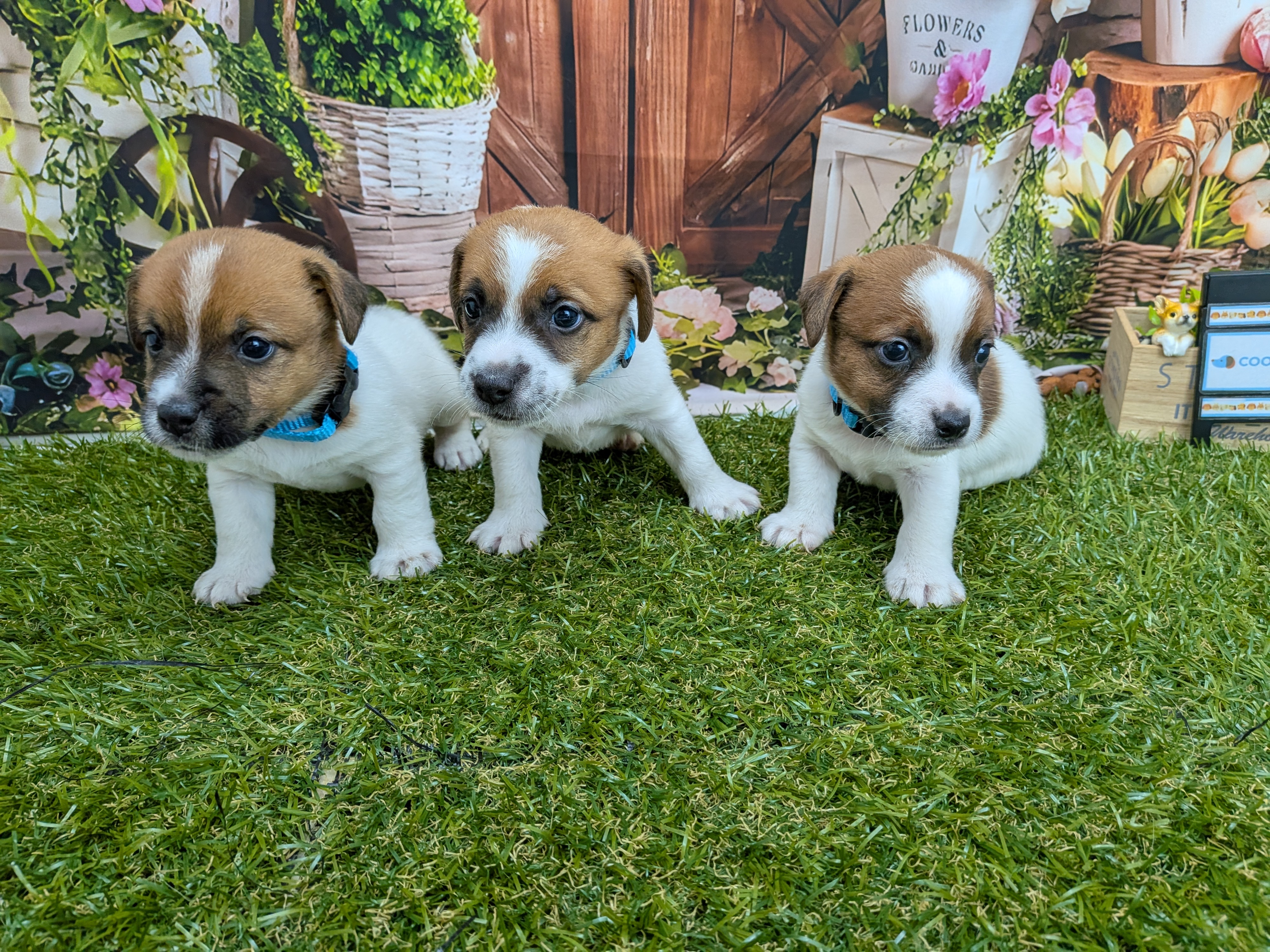 赤ちゃん写真2-3