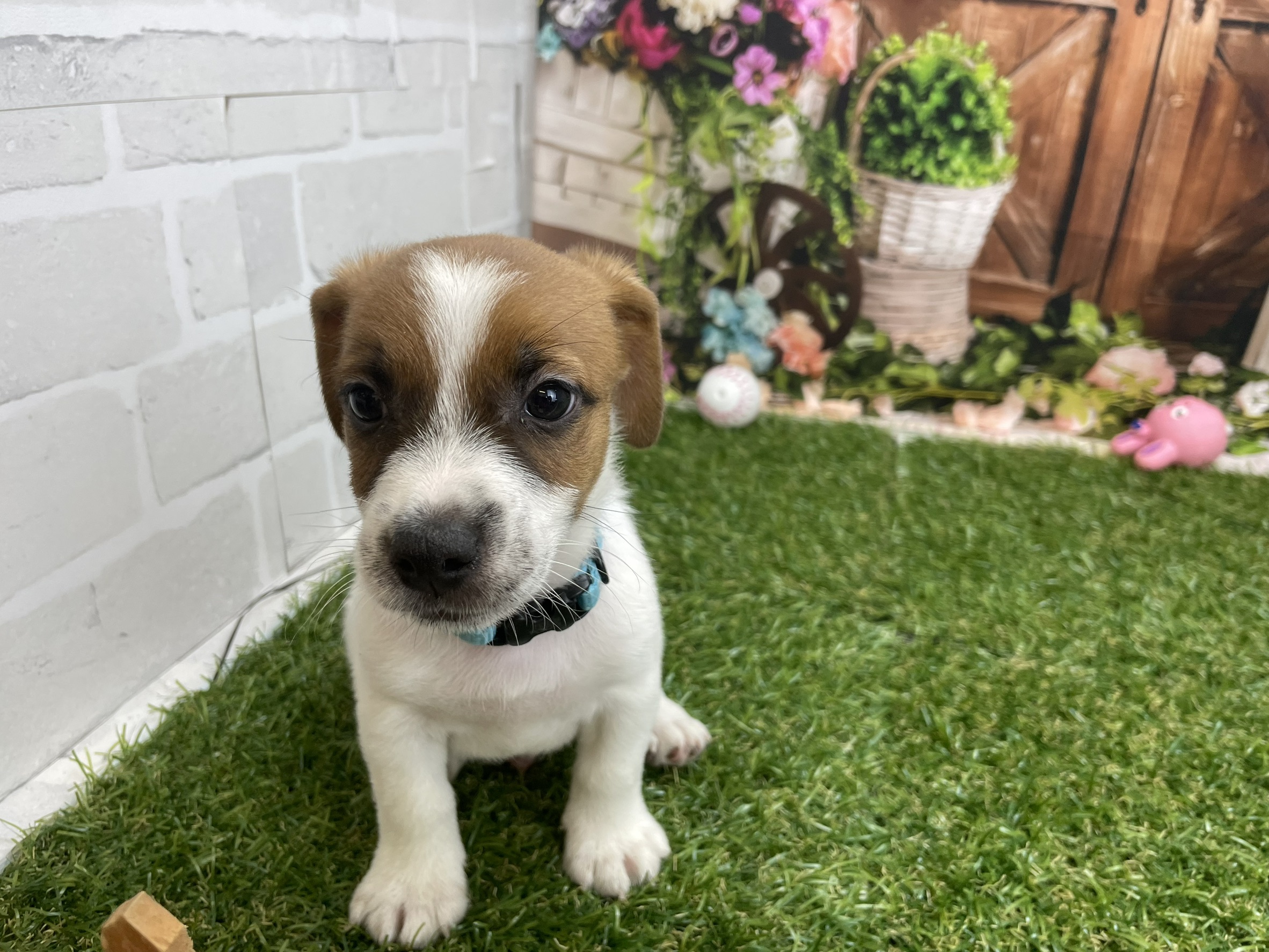 赤ちゃん写真3-1