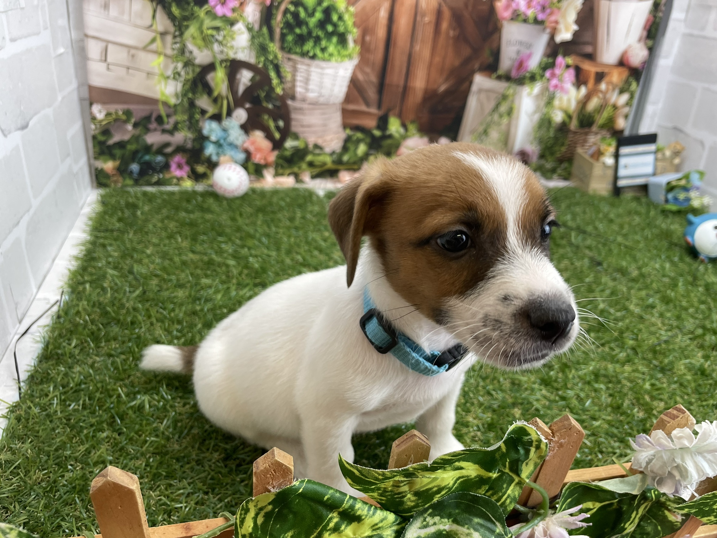 赤ちゃん写真3-2