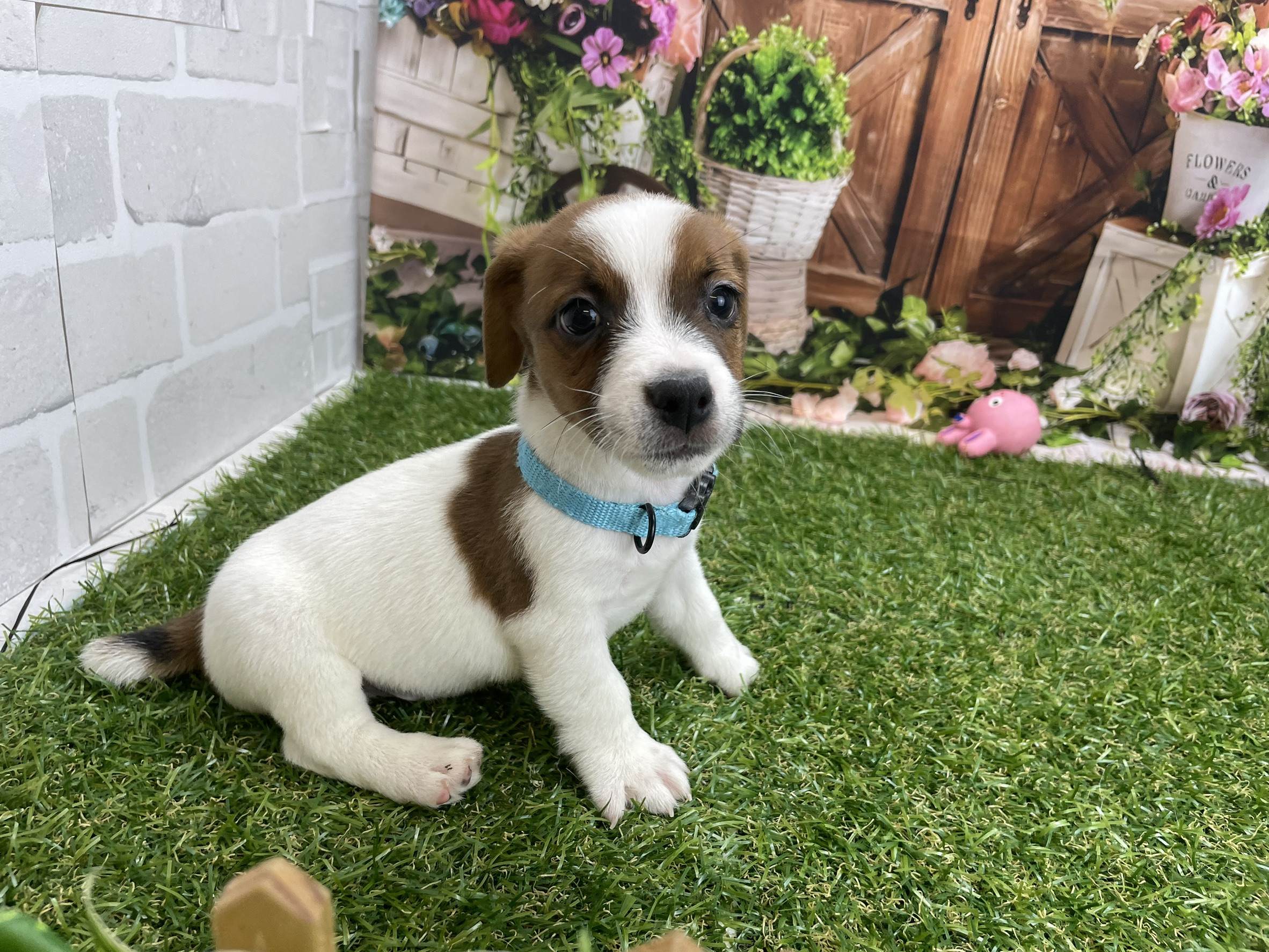 赤ちゃん写真3-1