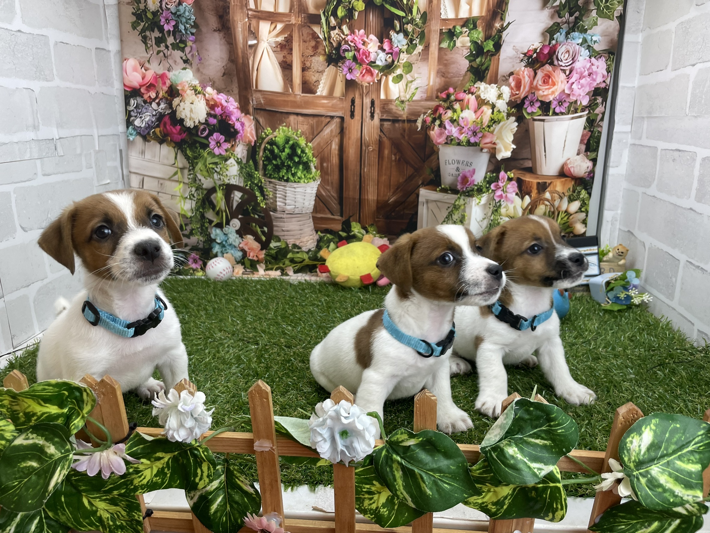 赤ちゃん写真3-3