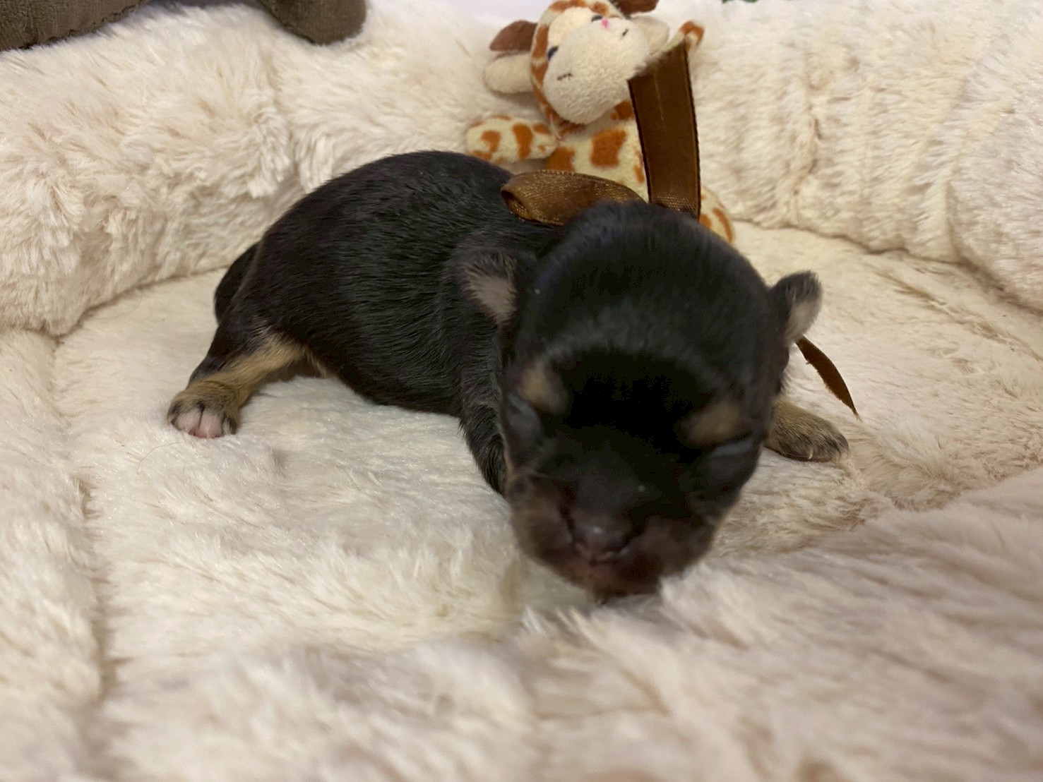 赤ちゃん写真1-1