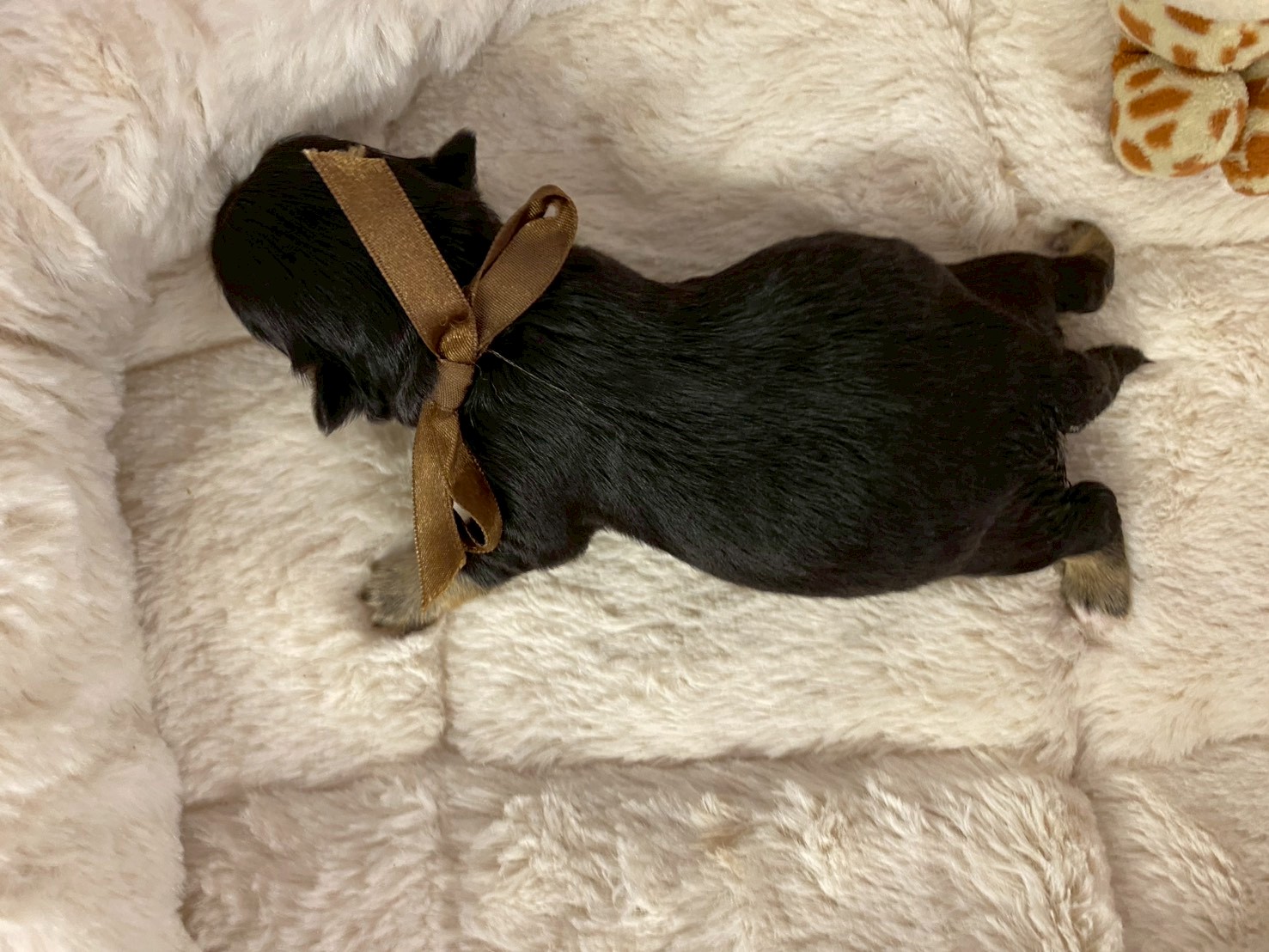 赤ちゃん写真1-3