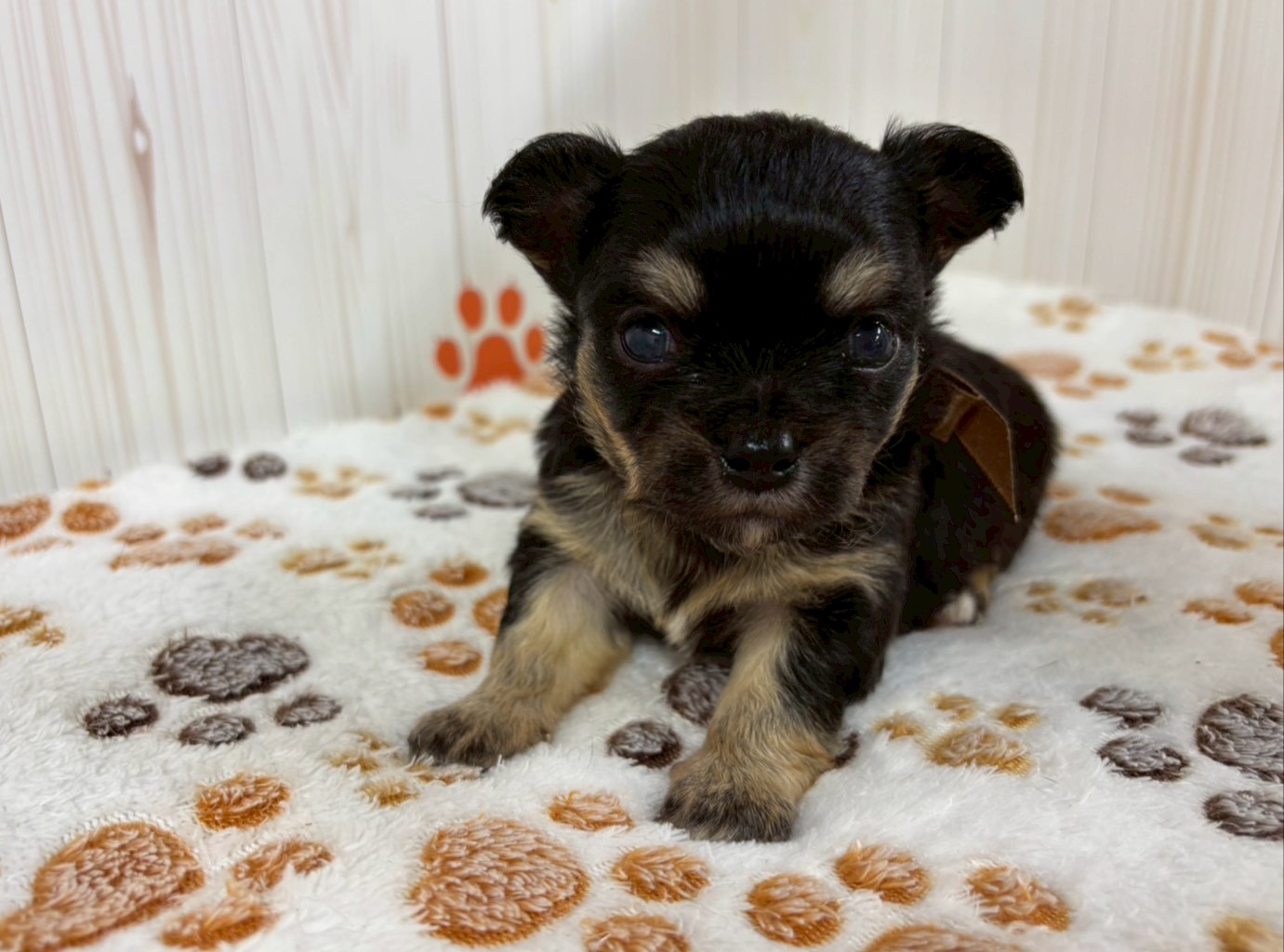 赤ちゃん写真2-1