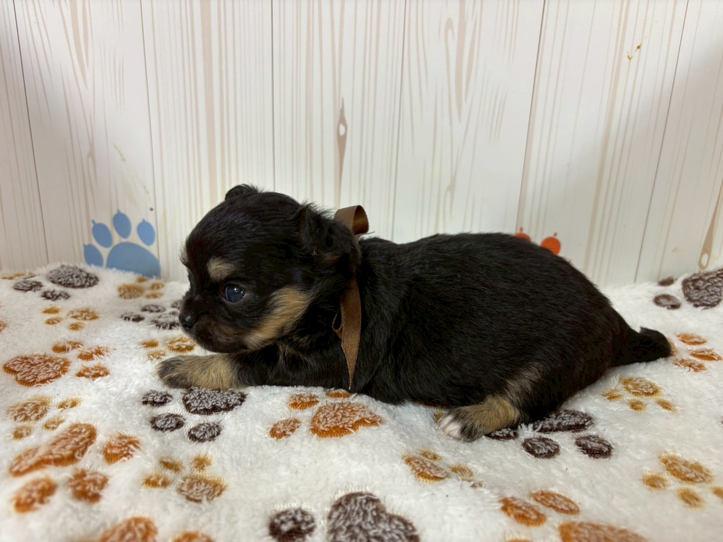 赤ちゃん写真2-2