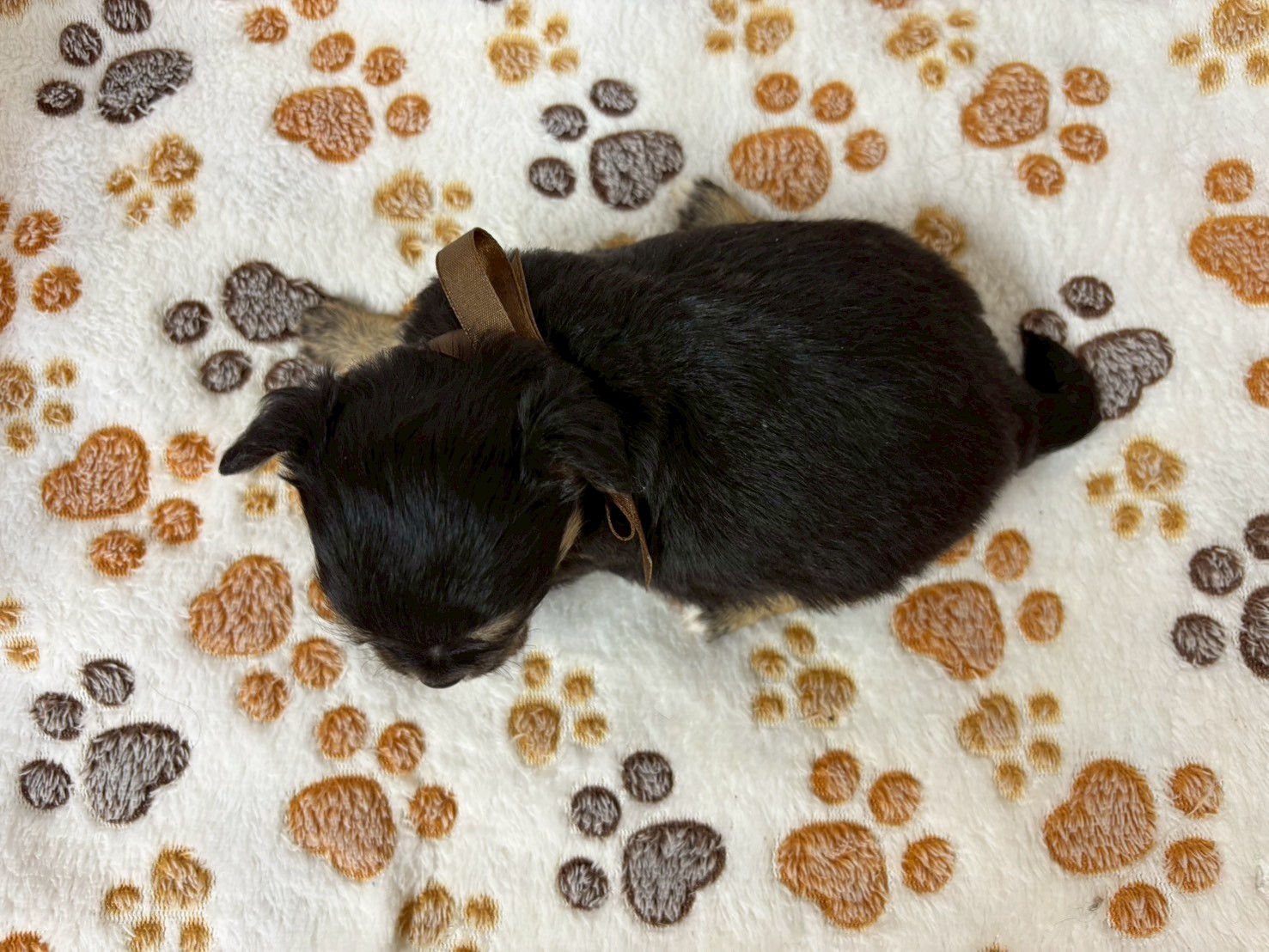 赤ちゃん写真2-3