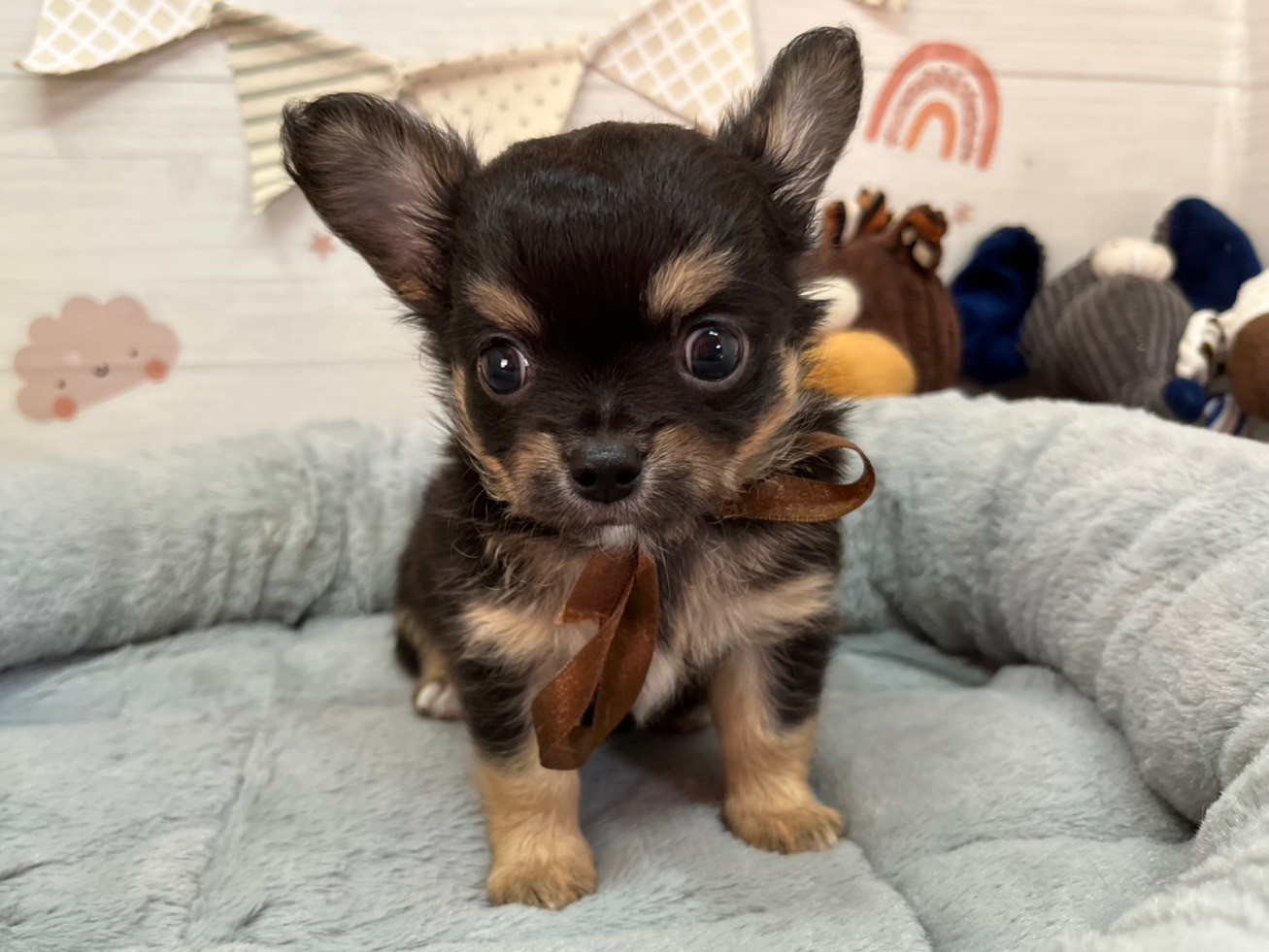 赤ちゃん写真3-1