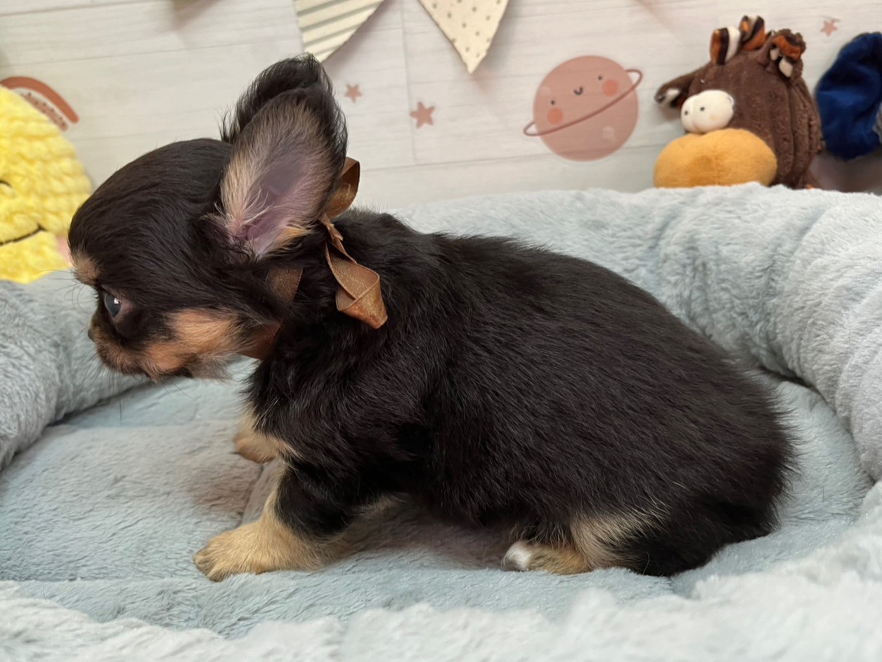 赤ちゃん写真3-2