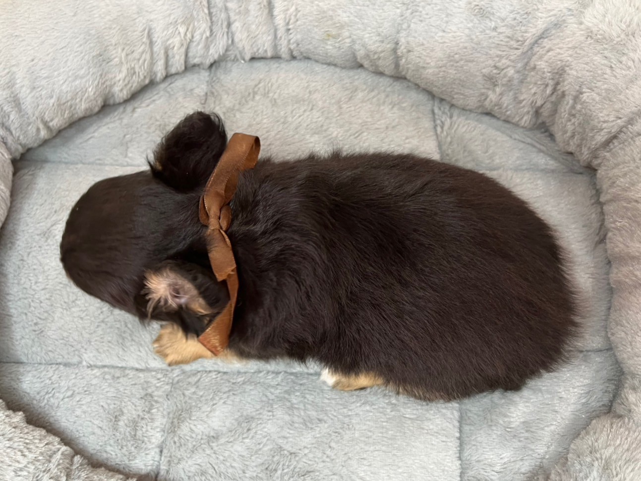 赤ちゃん写真3-3