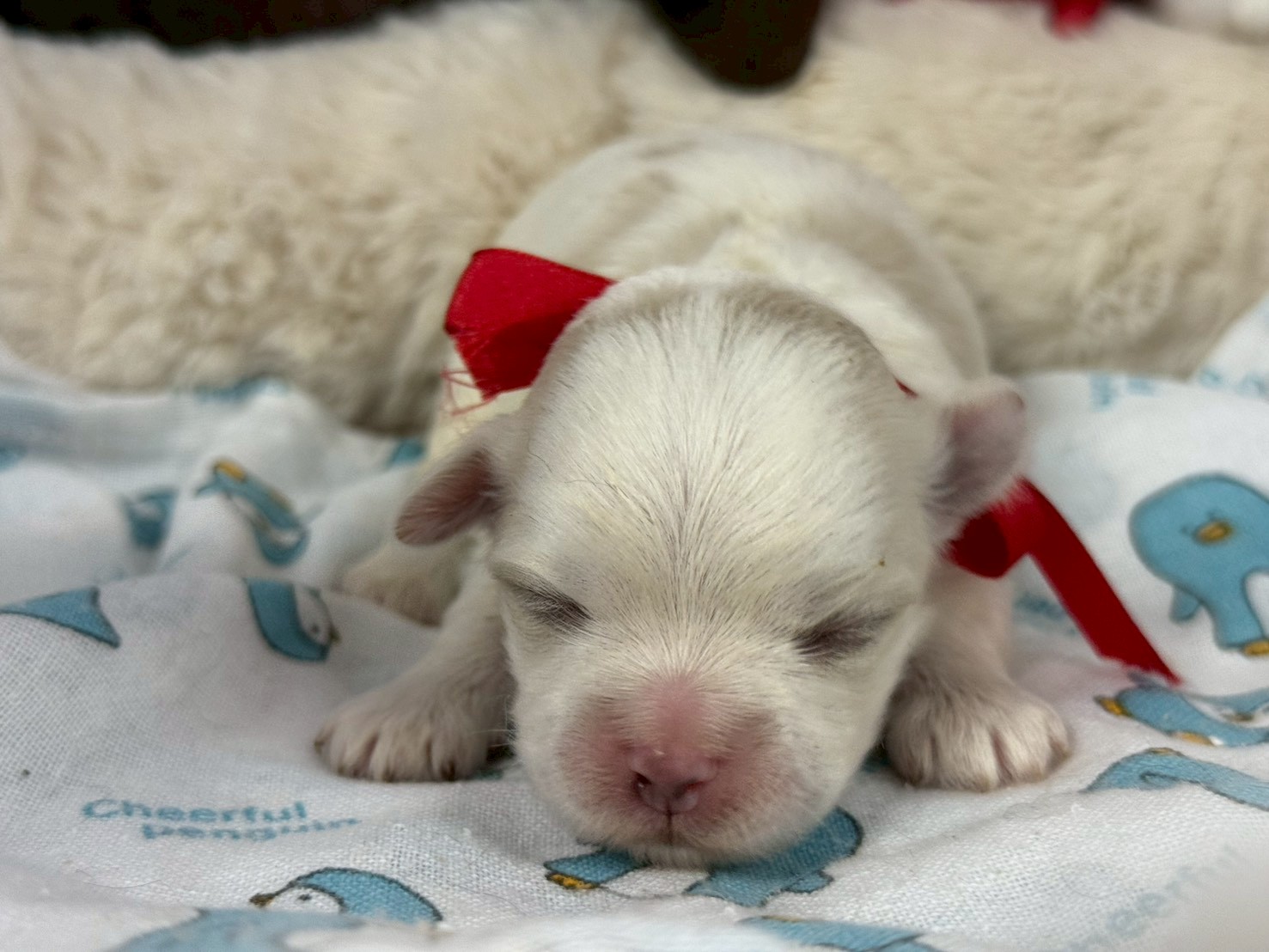 赤ちゃん写真1-1