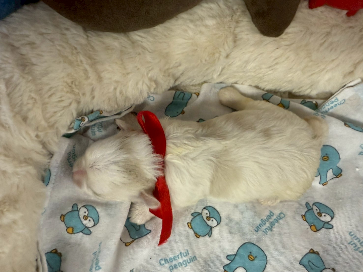 赤ちゃん写真1-3