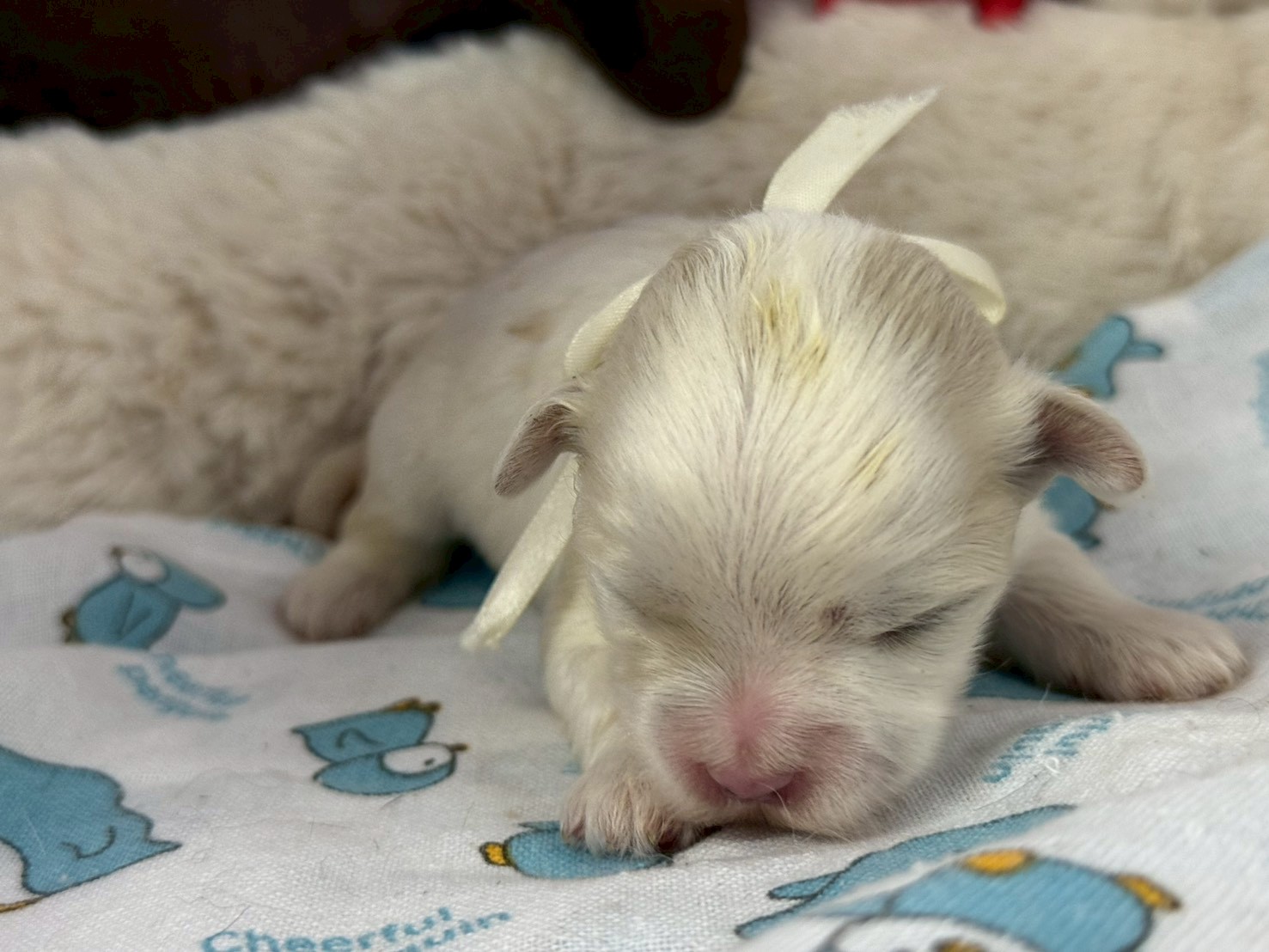 赤ちゃん写真1-1