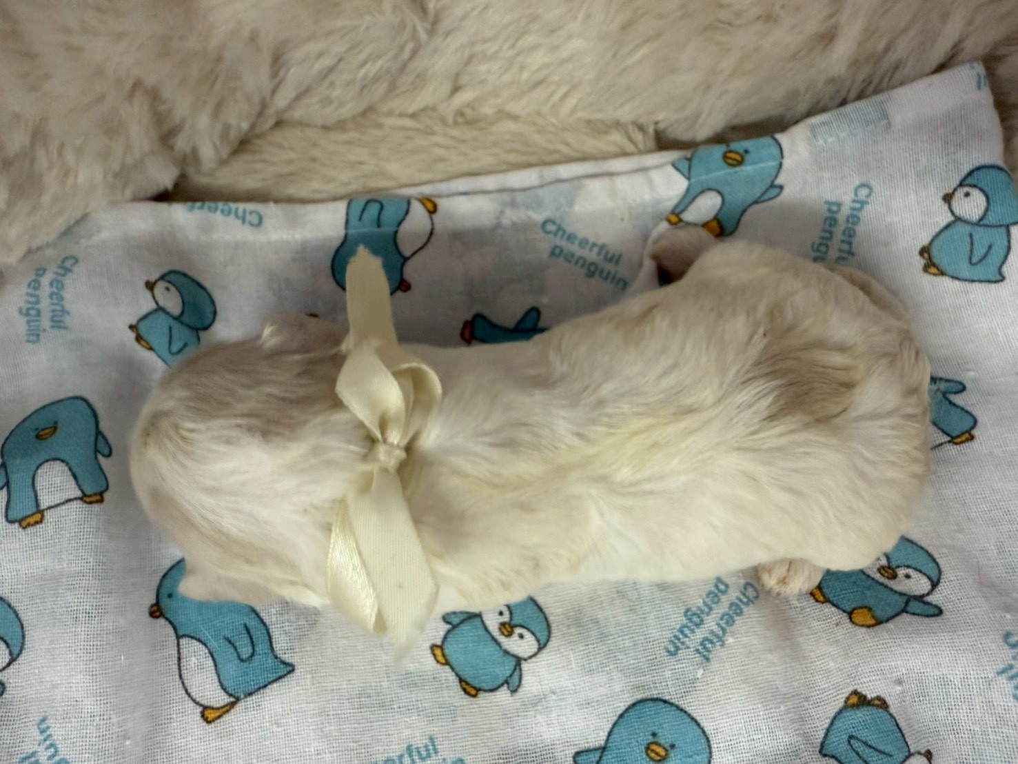 赤ちゃん写真1-3