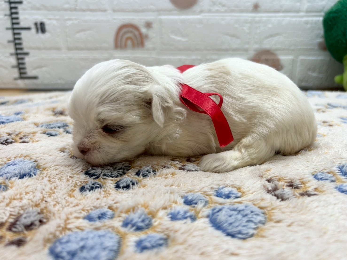 赤ちゃん写真2-2