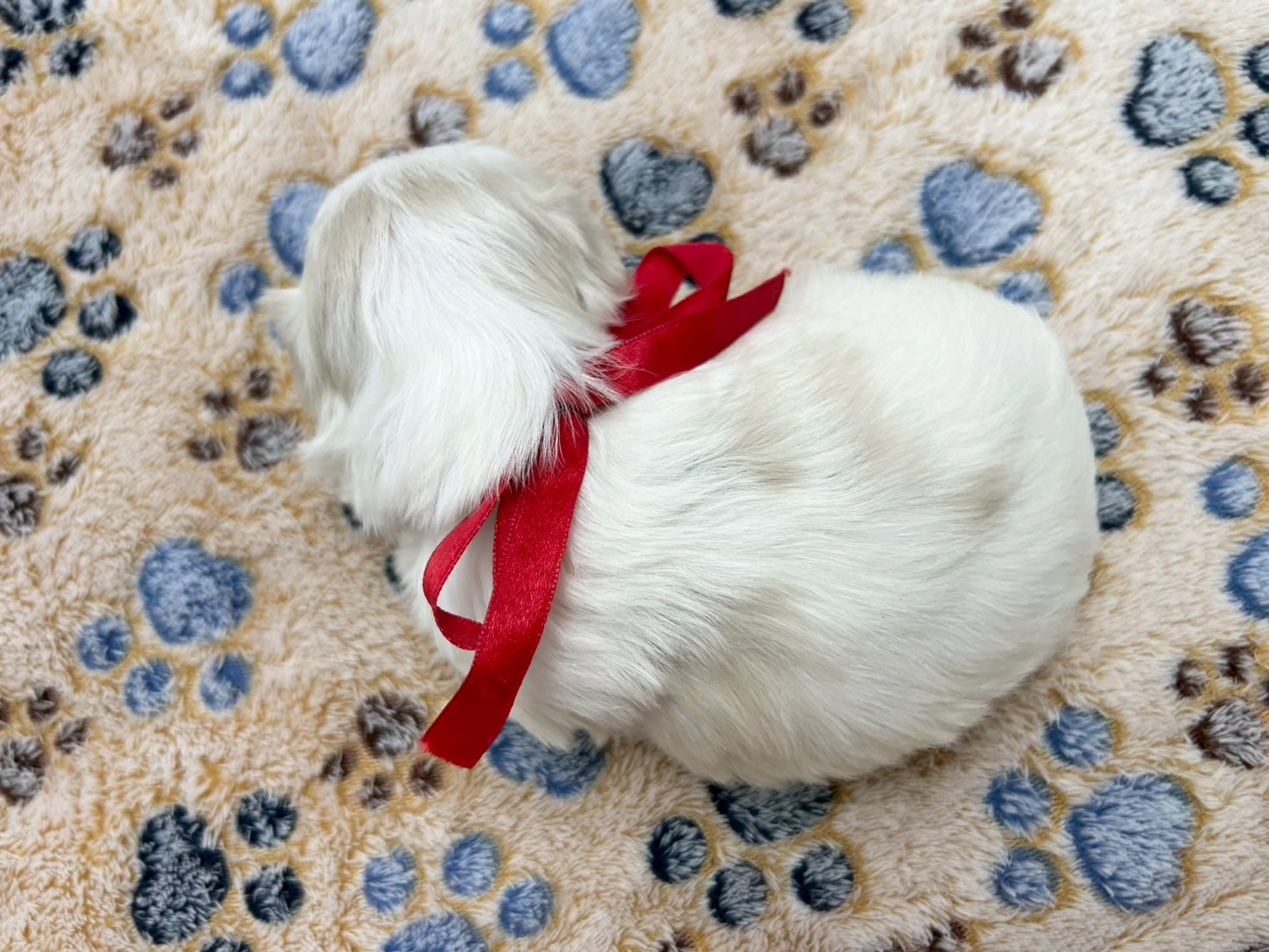 赤ちゃん写真2-3