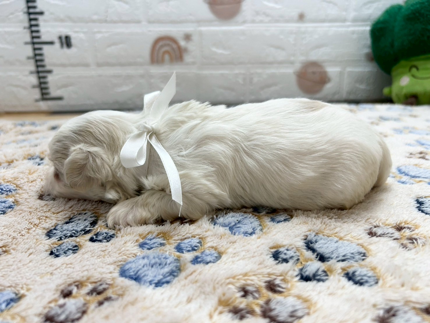 赤ちゃん写真2-2