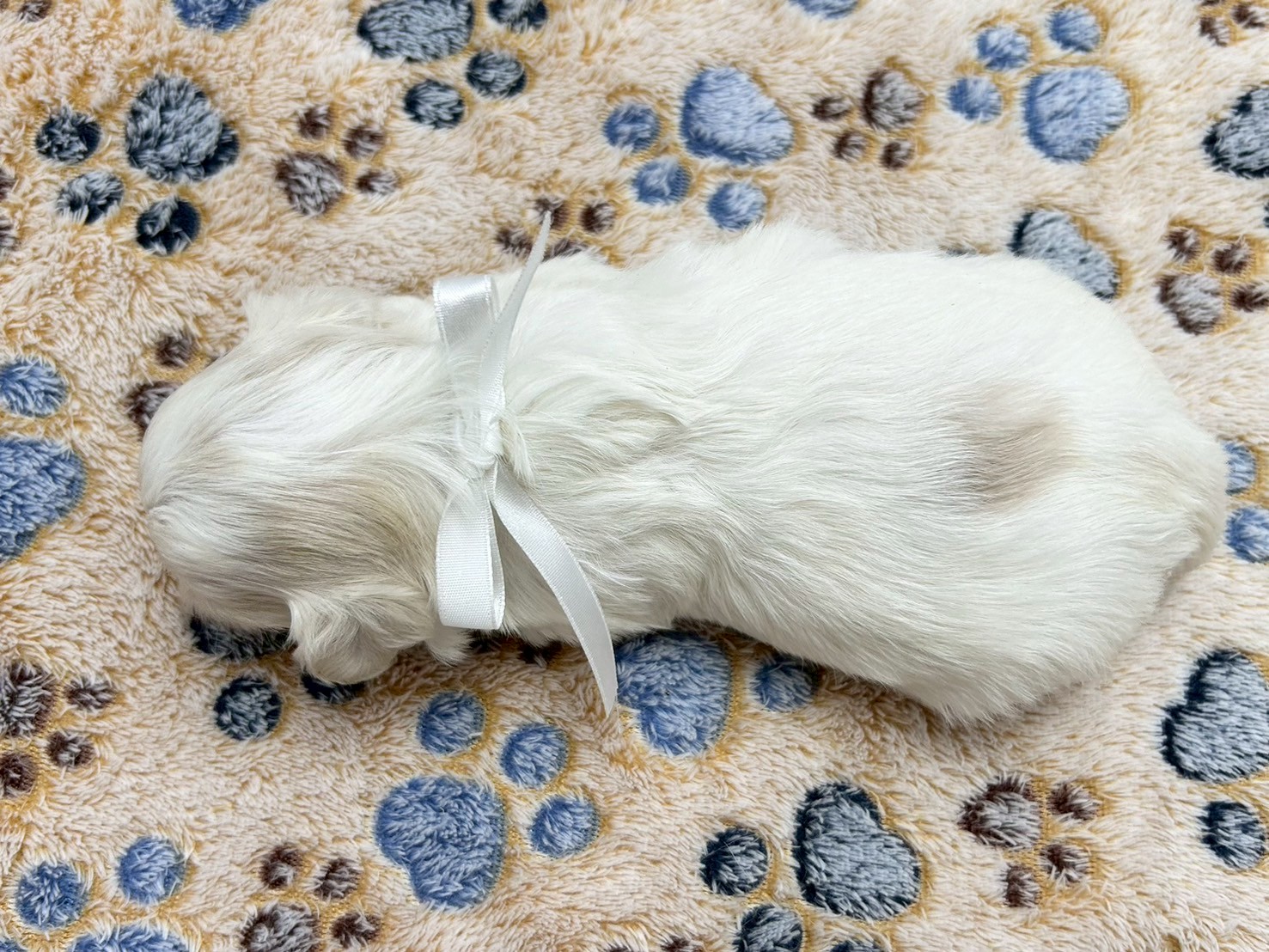 赤ちゃん写真2-3