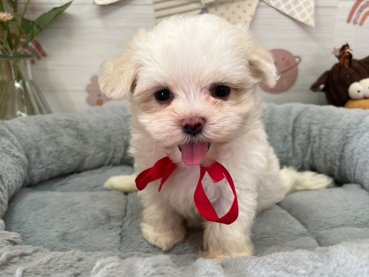 赤ちゃん写真3-1