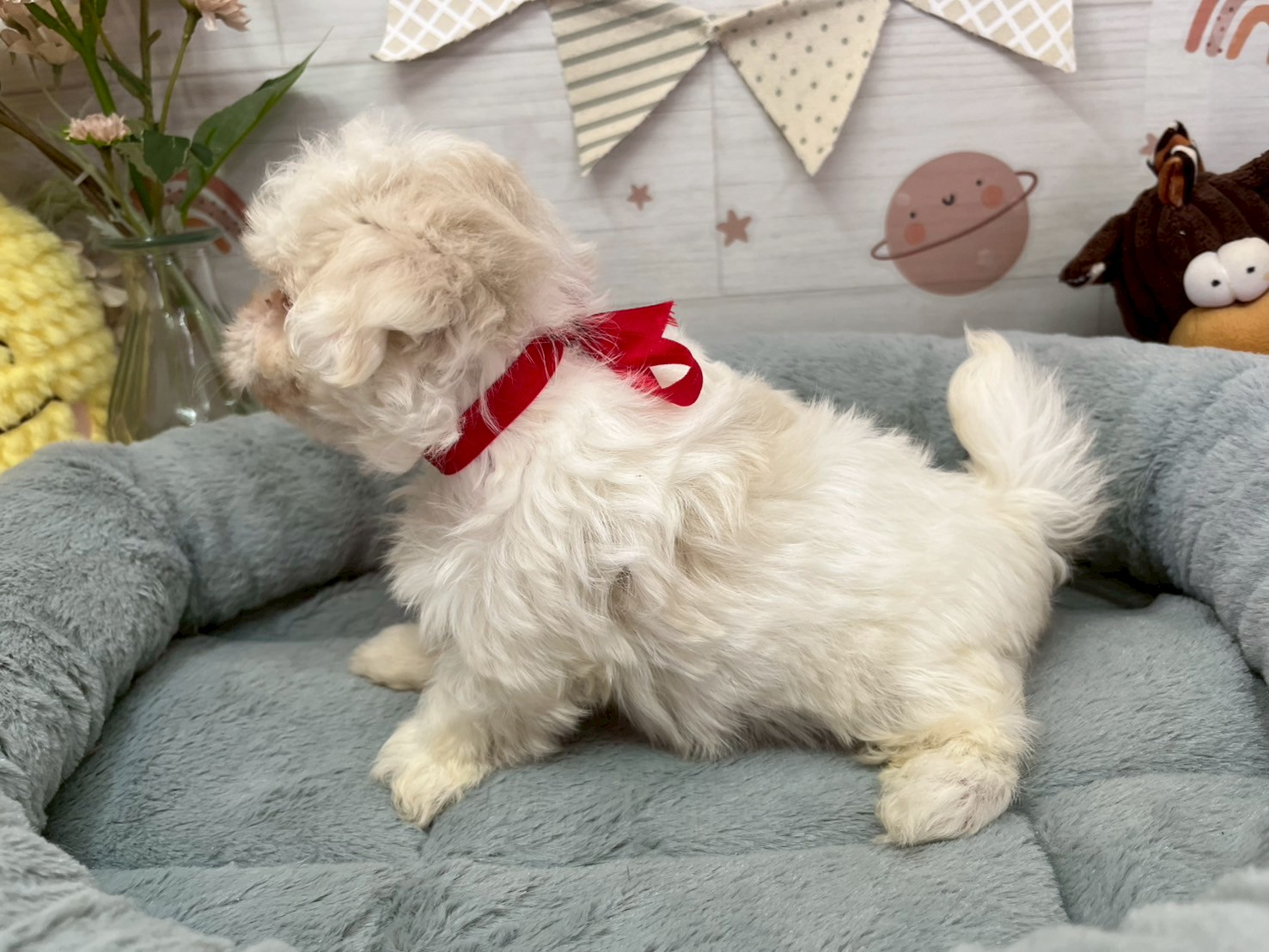 赤ちゃん写真3-2