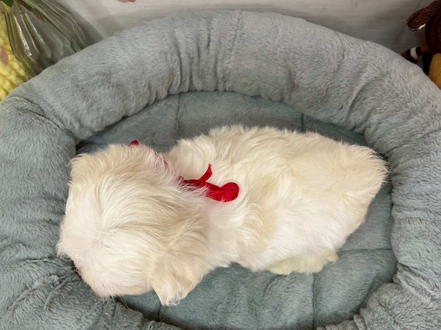 赤ちゃん写真3-3