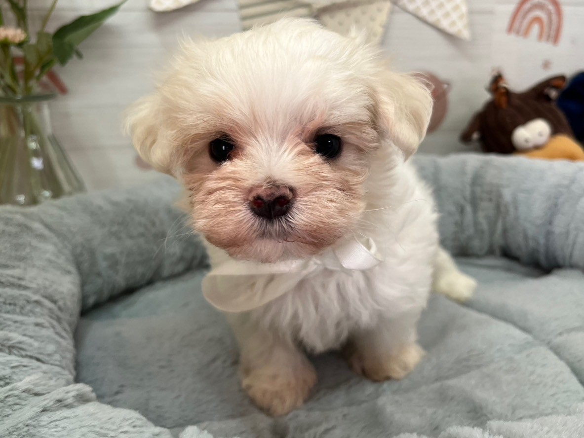 赤ちゃん写真3-1