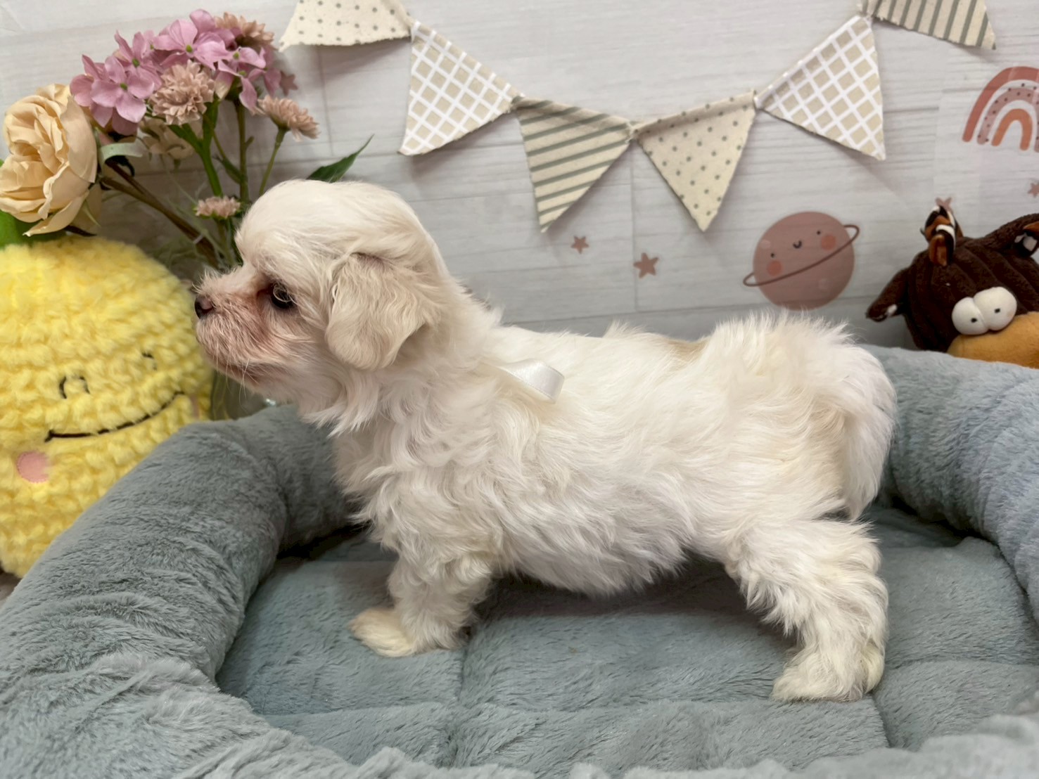 赤ちゃん写真3-2