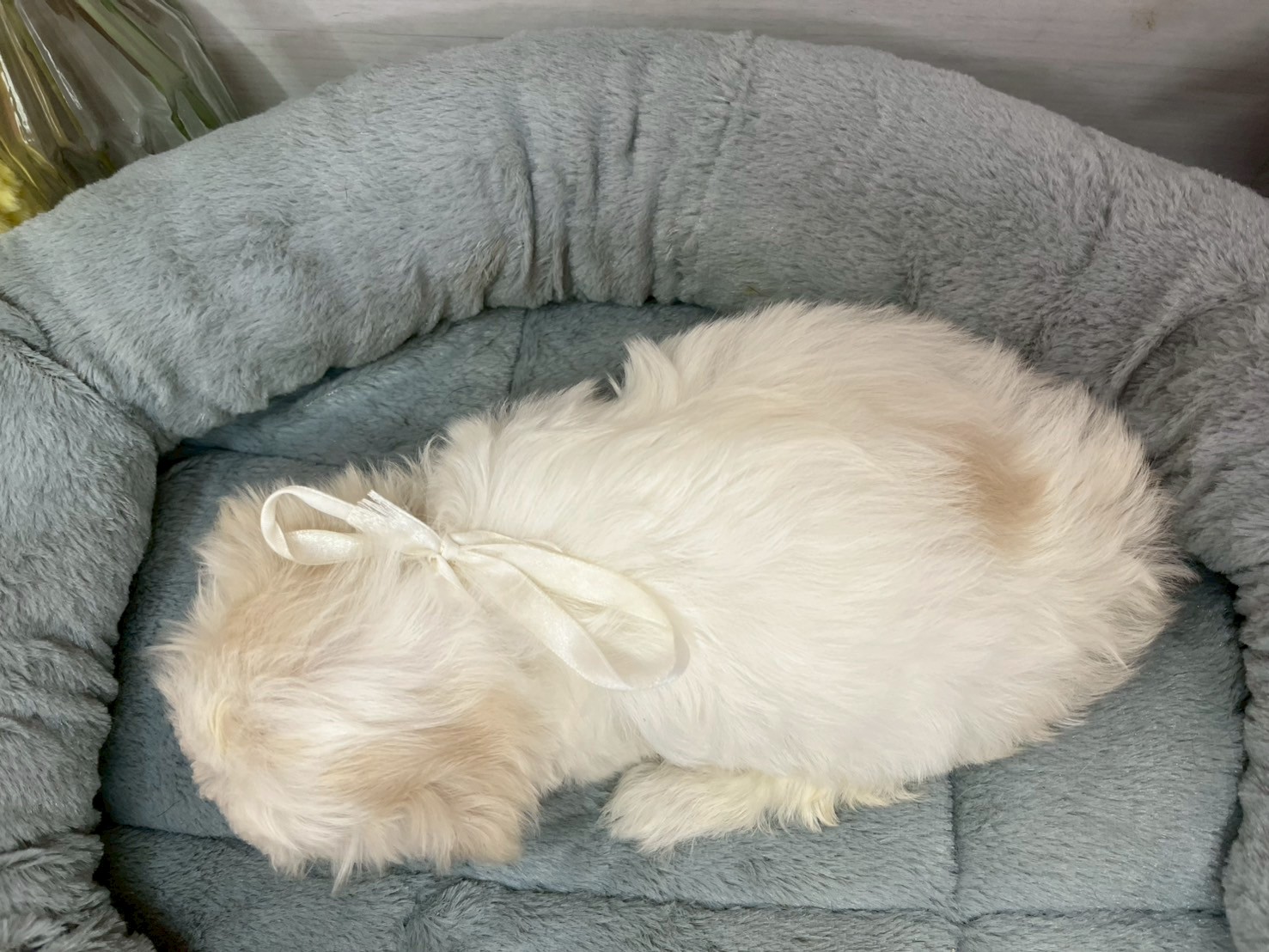 赤ちゃん写真3-3