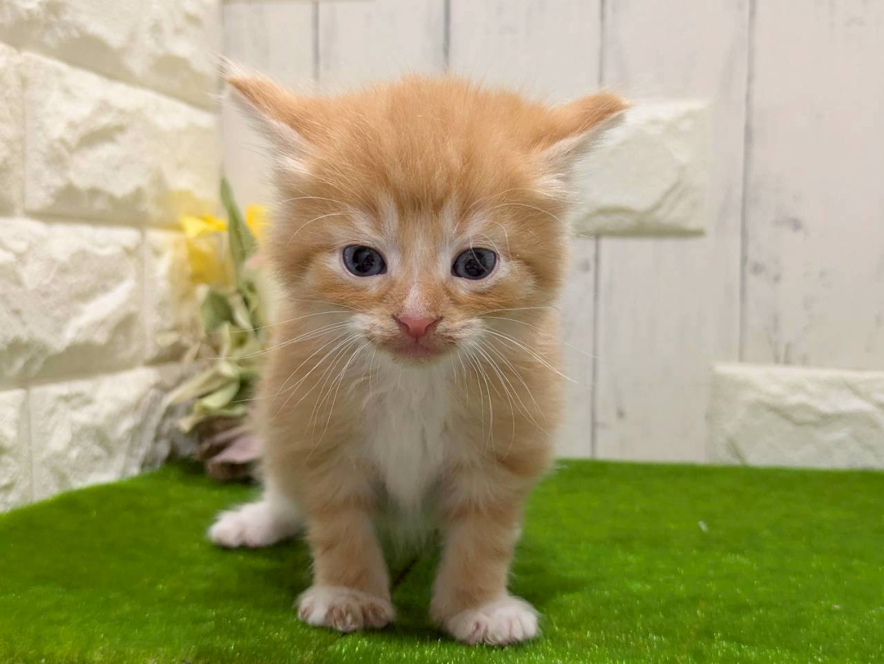 赤ちゃん写真2-1
