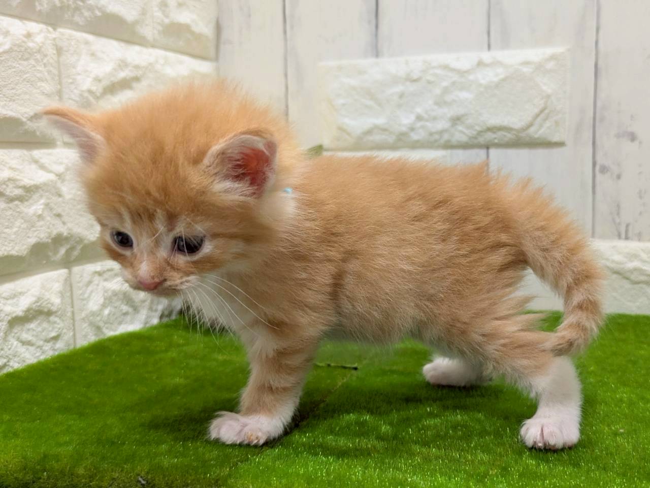 赤ちゃん写真2-2