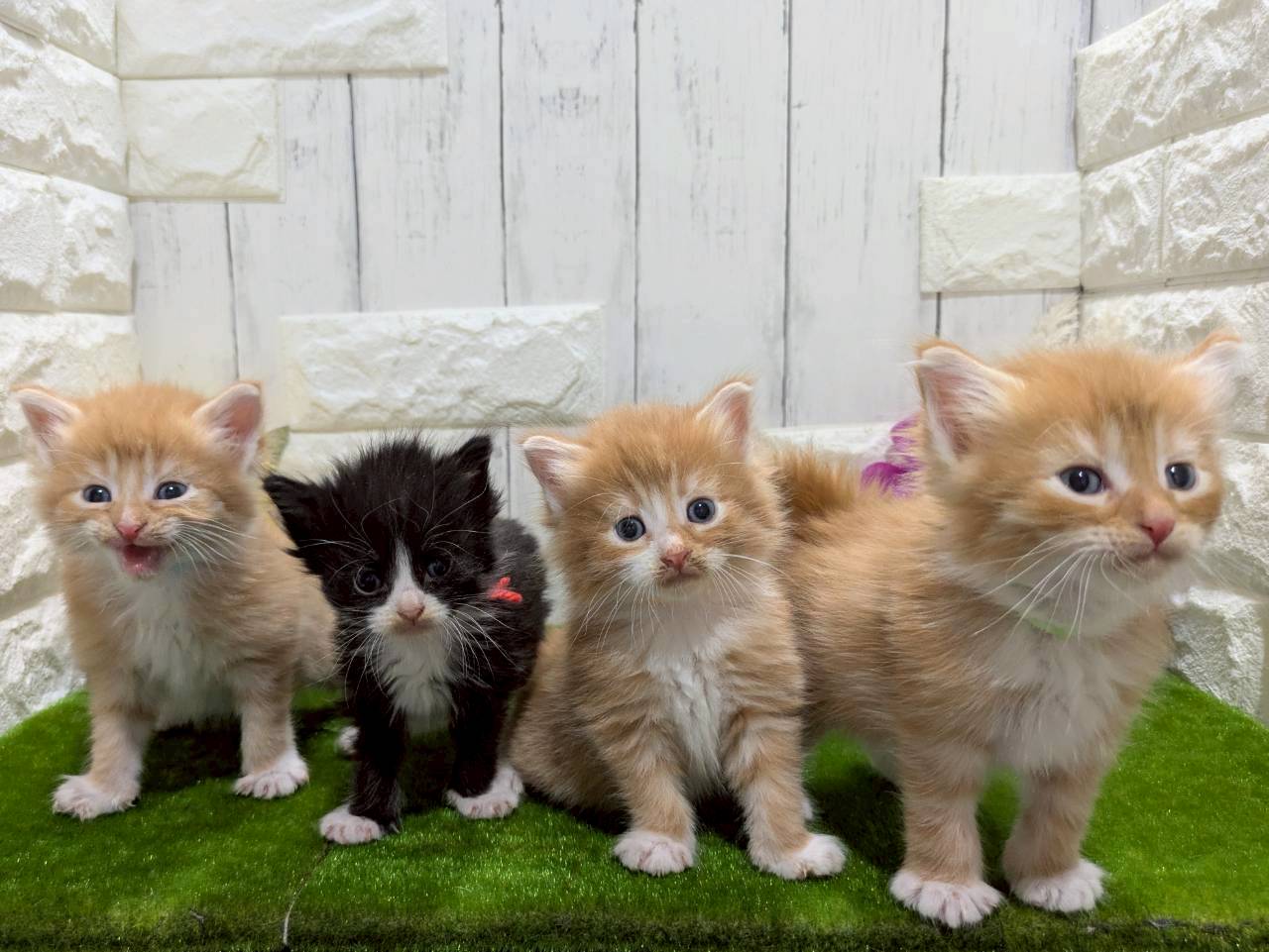 赤ちゃん写真2-3