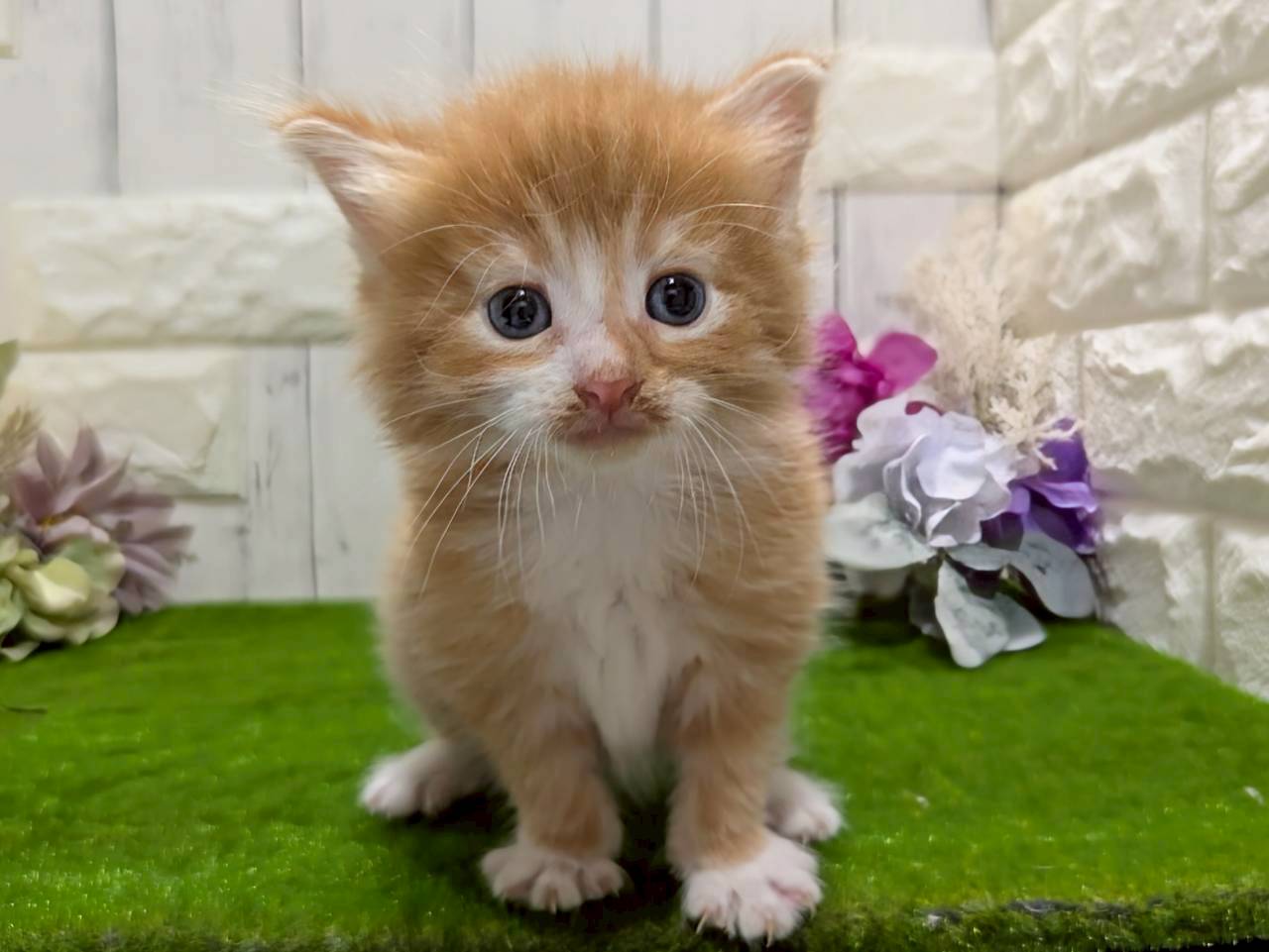 赤ちゃん写真2-1