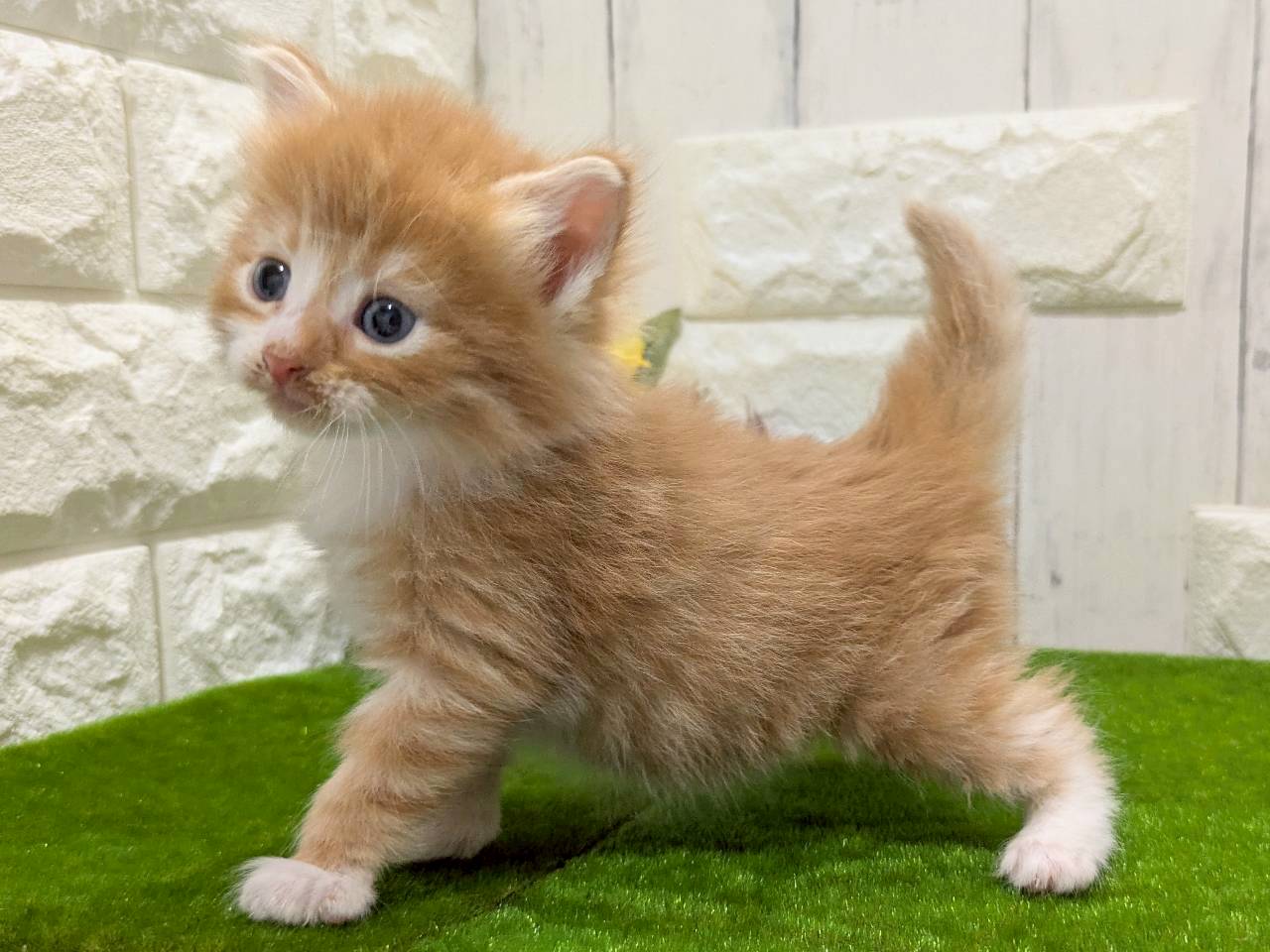 赤ちゃん写真2-2