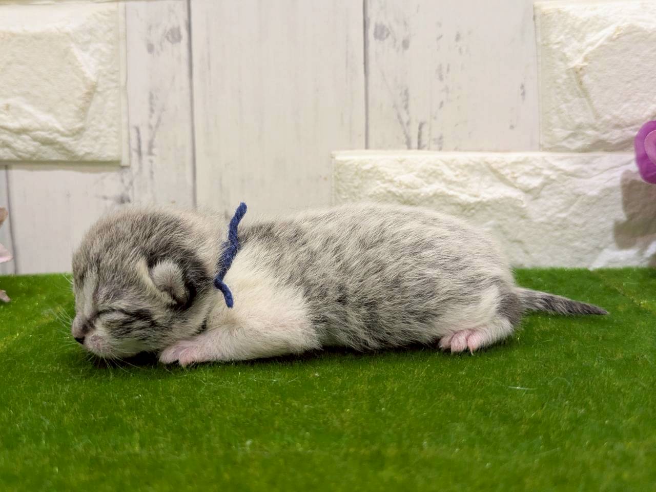 赤ちゃん写真1-1