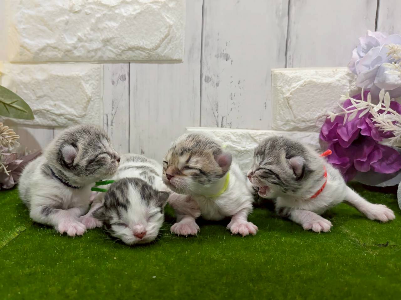 赤ちゃん写真1-3