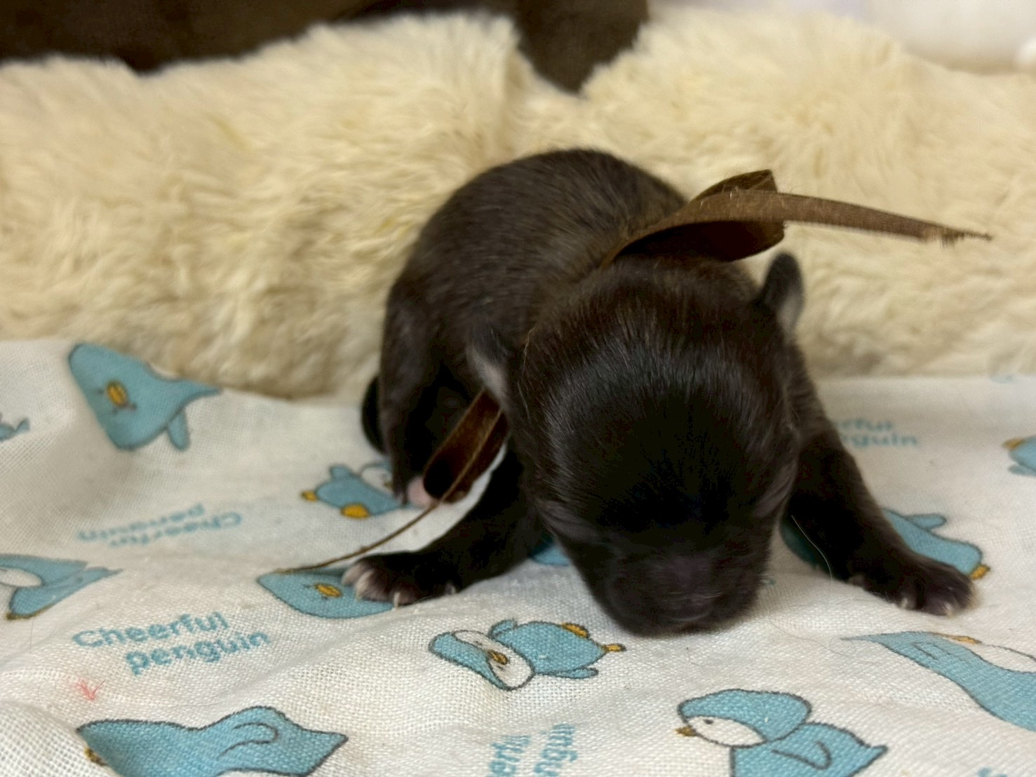 赤ちゃん写真1-1