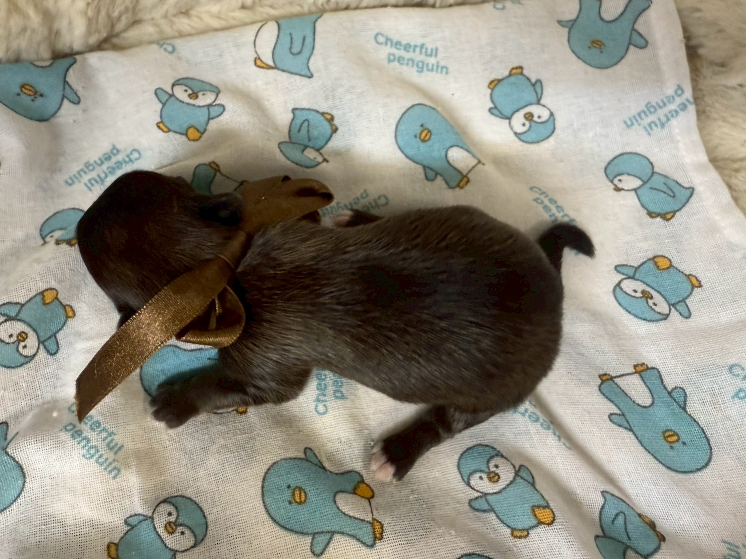 赤ちゃん写真1-3