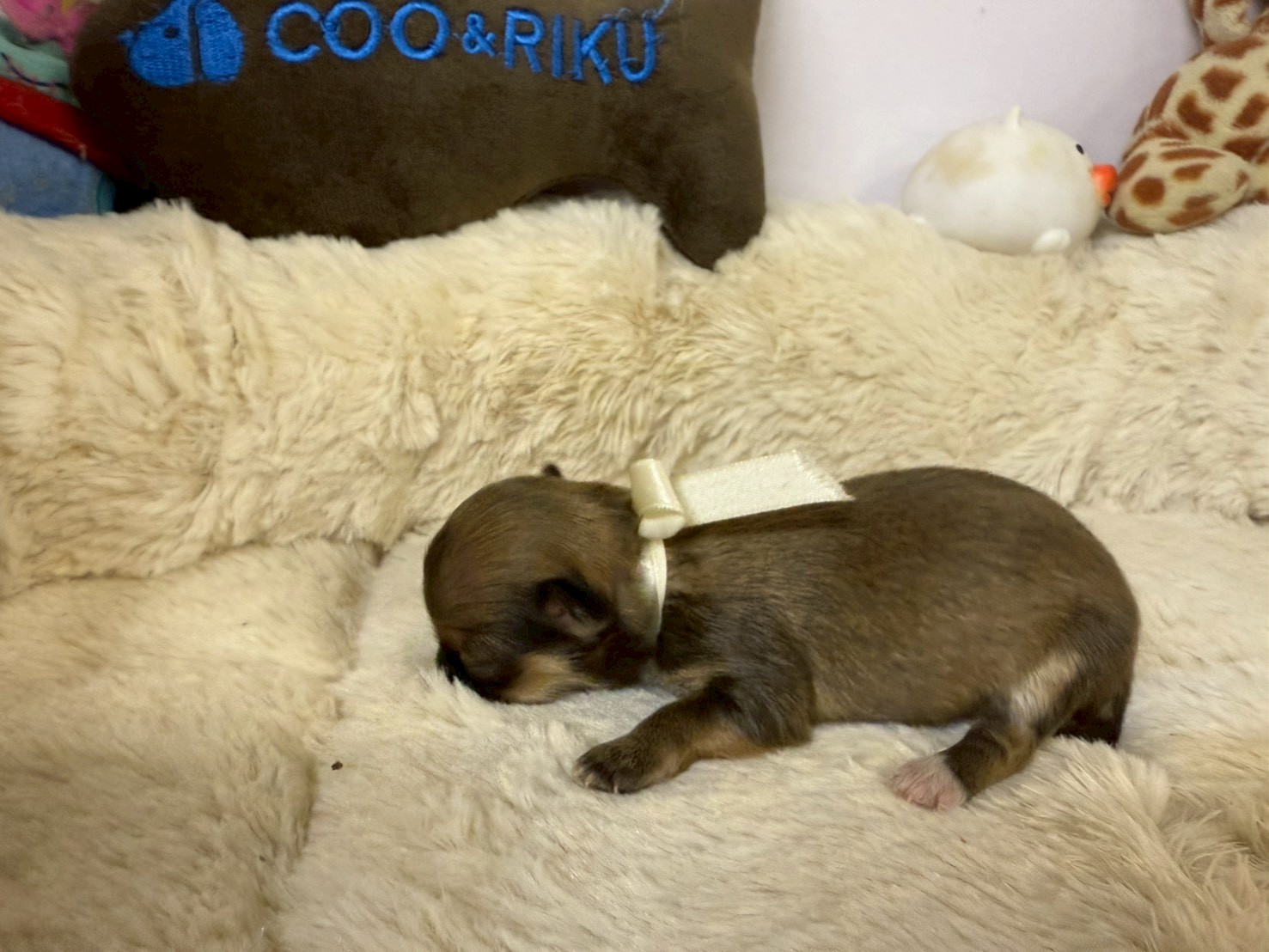 赤ちゃん写真1-2
