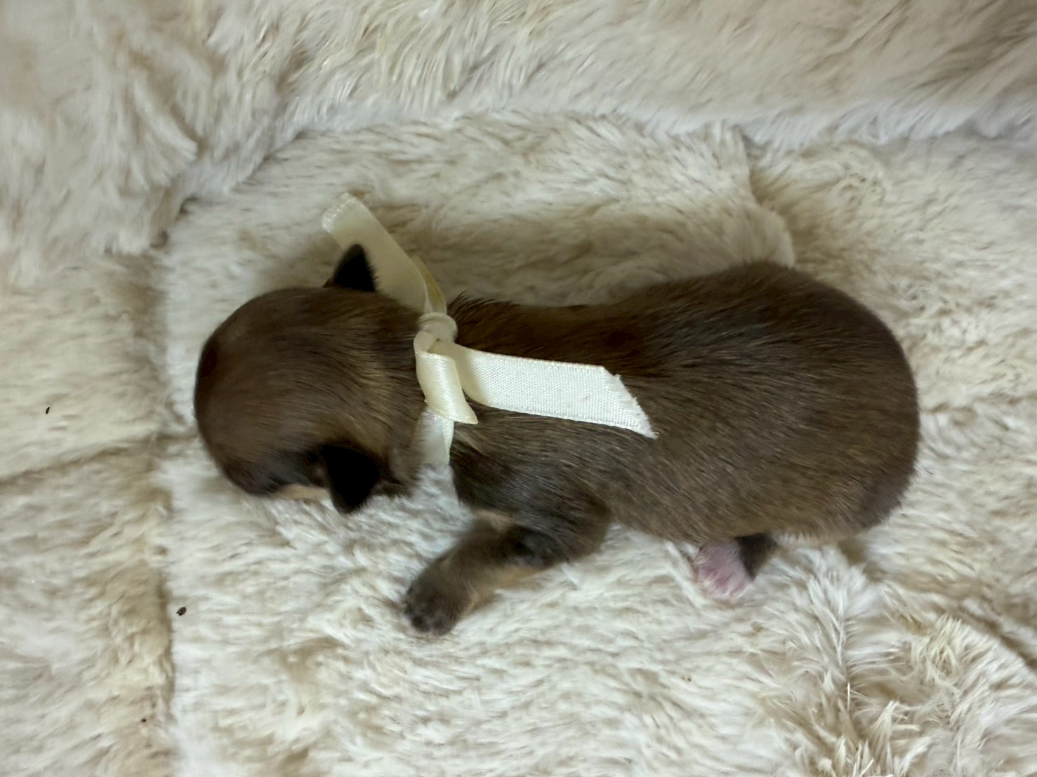 赤ちゃん写真1-3