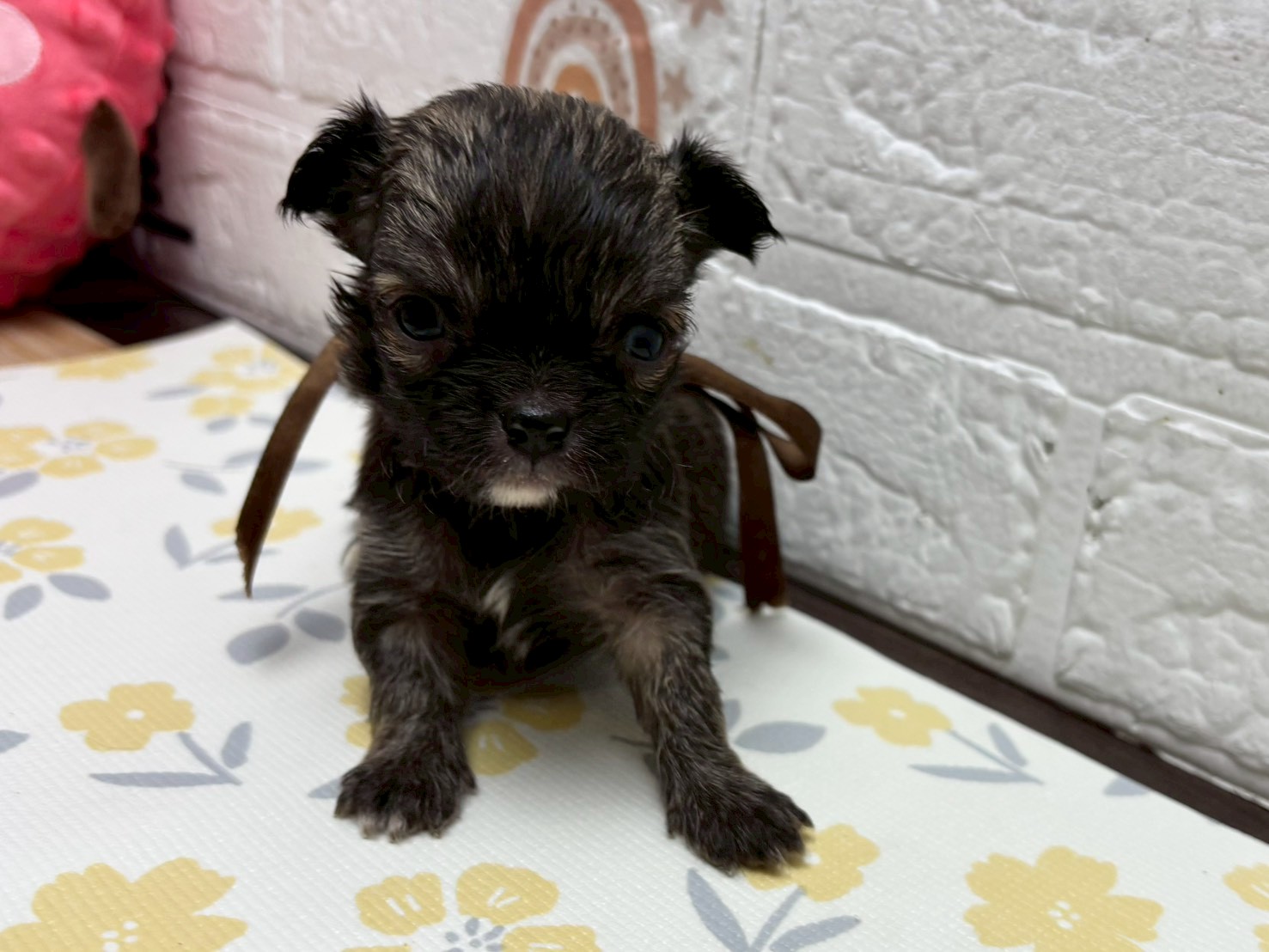 赤ちゃん写真2-1