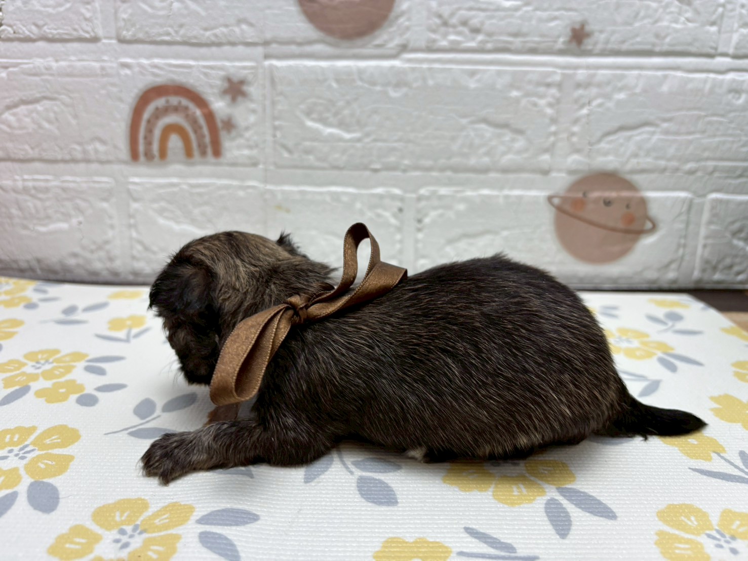 赤ちゃん写真2-2