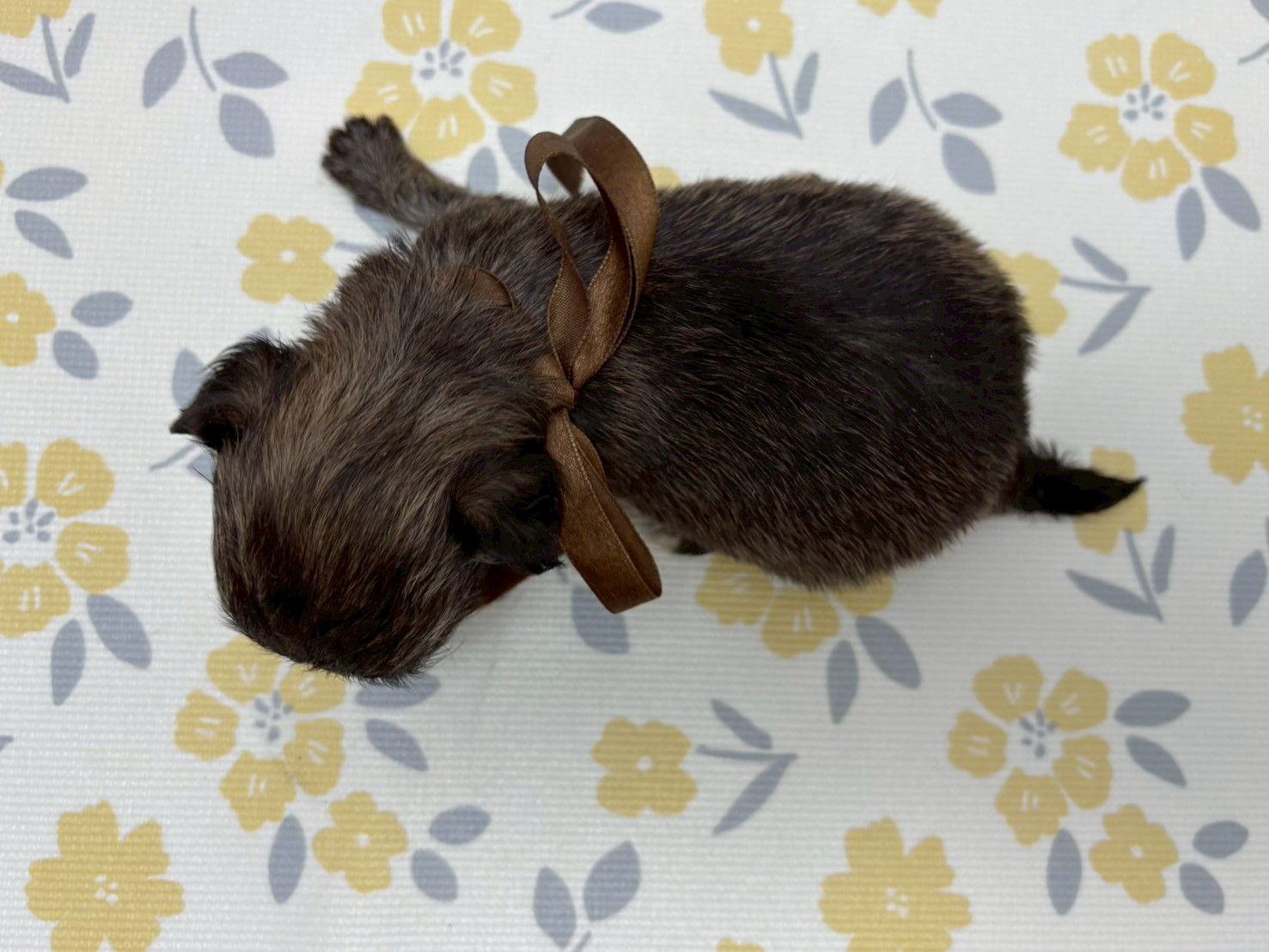 赤ちゃん写真2-3