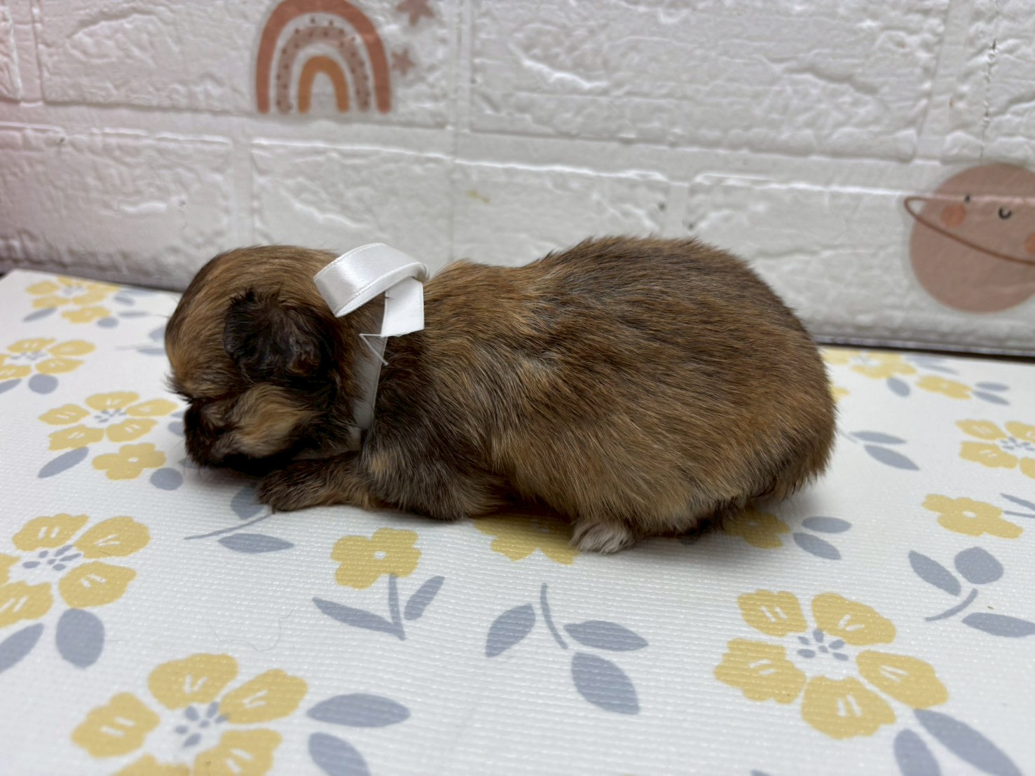 赤ちゃん写真2-2