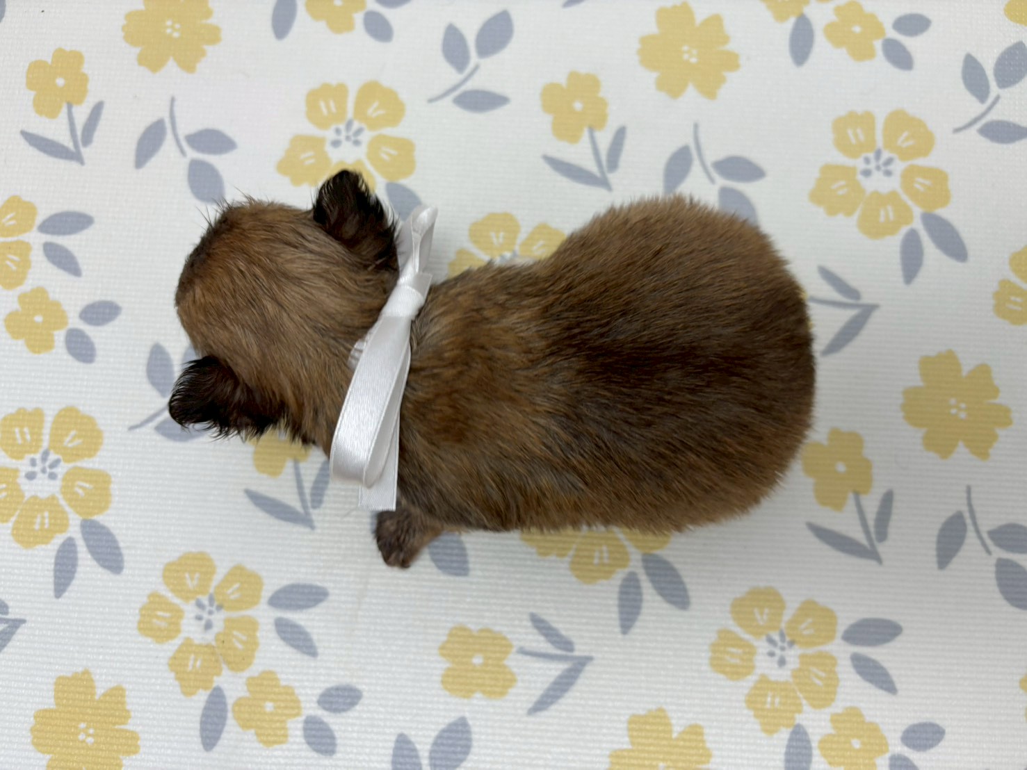 赤ちゃん写真2-3