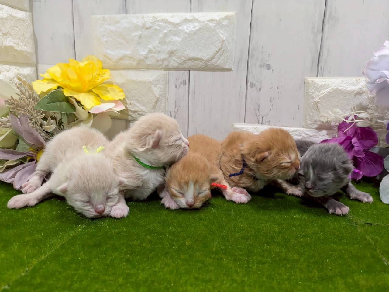 赤ちゃん写真1-3